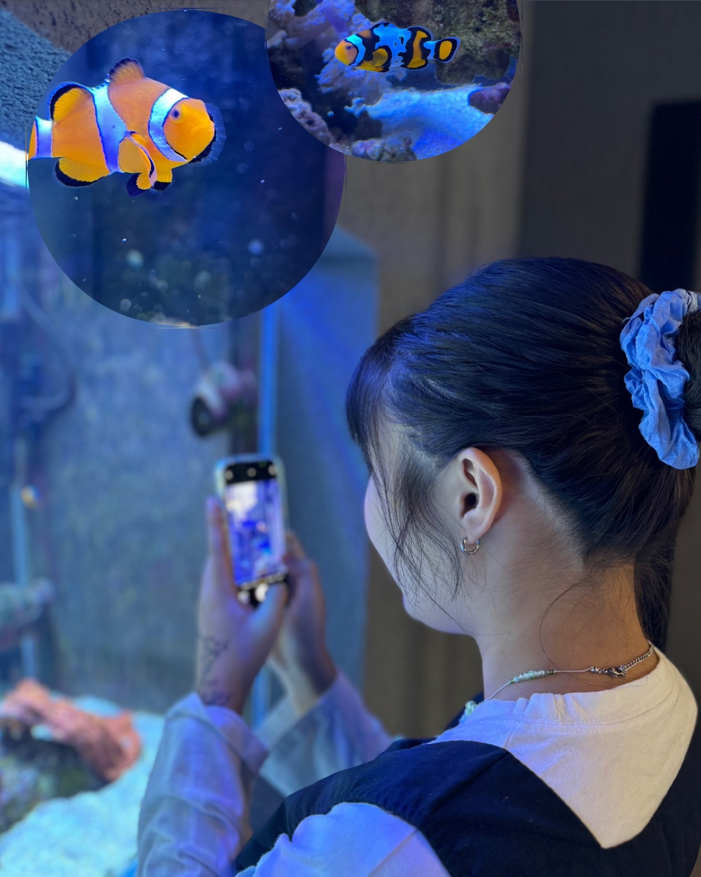 과학잡지에 나올 거 같은 사진 ...🐠
