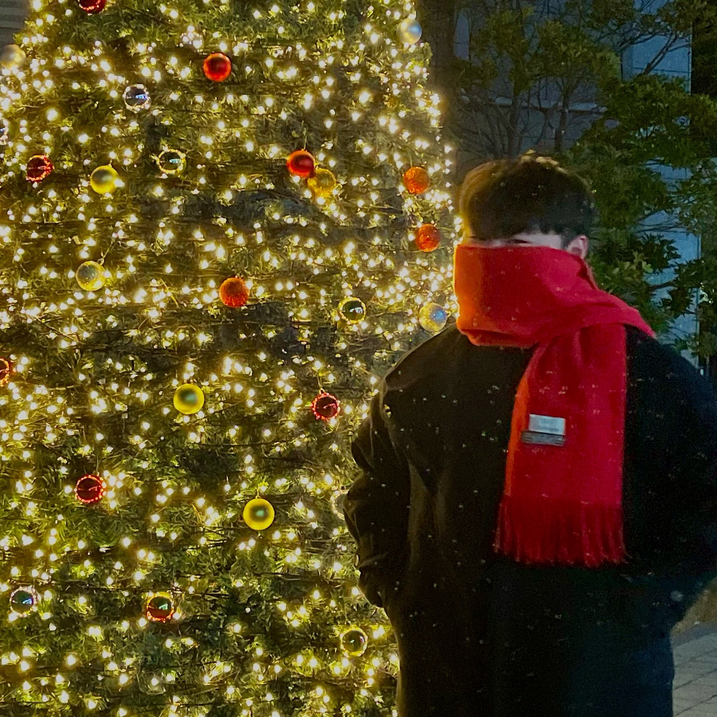 🎄