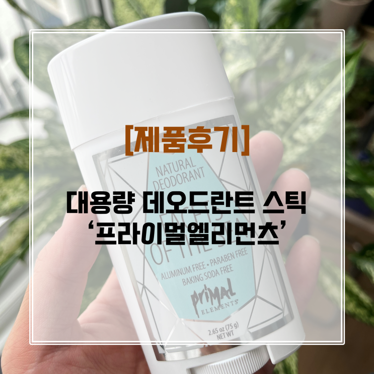 [제품후기] 대용량 데오드란트스틱 프라이멀엘리먼츠 추천! (여행 한달 살기 꿀템!)