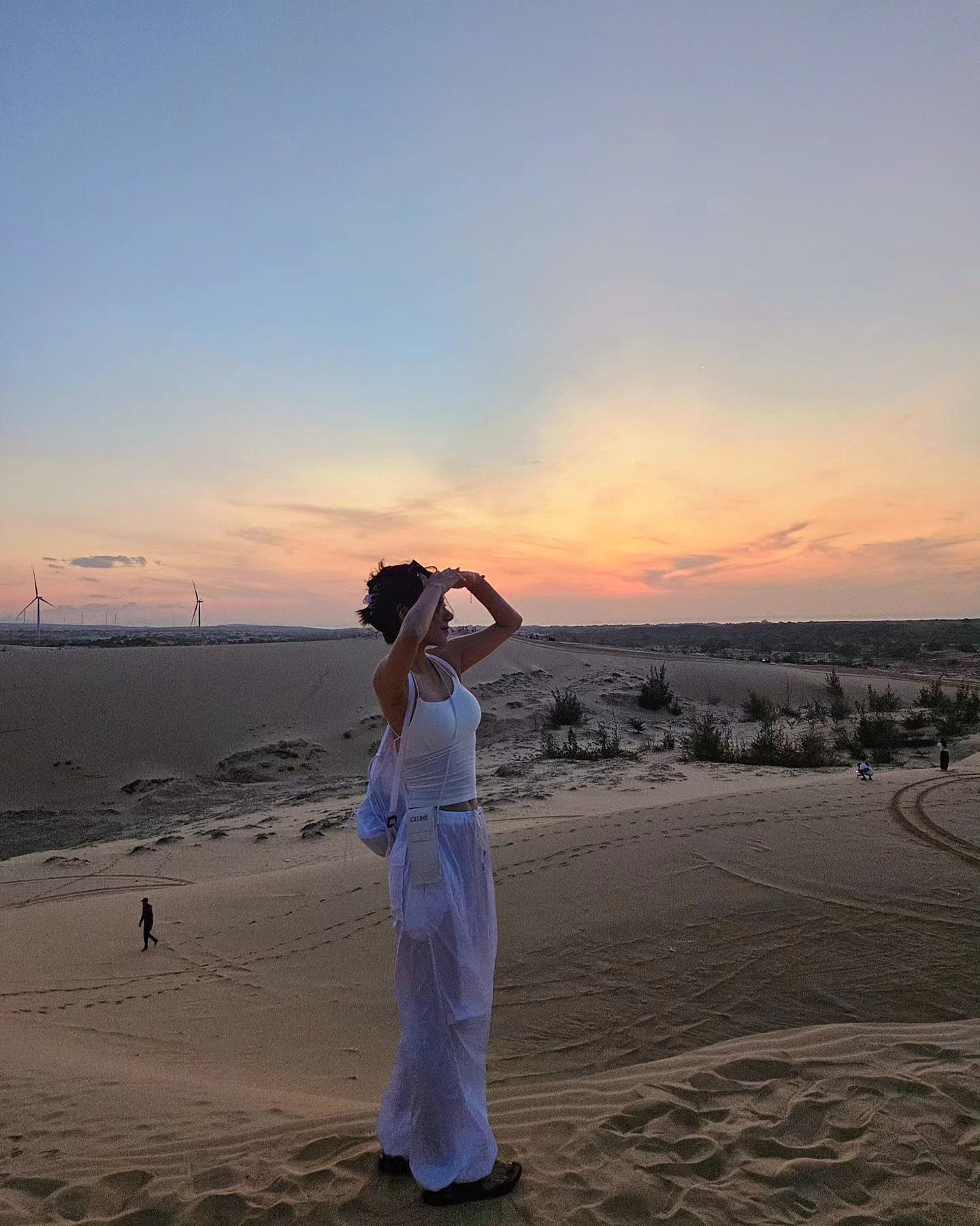 🏜