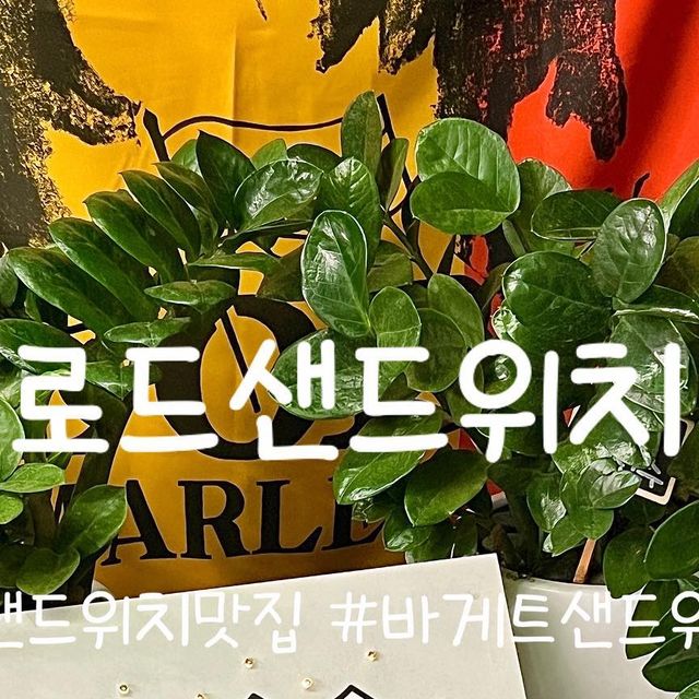 조이야미 on Instagram