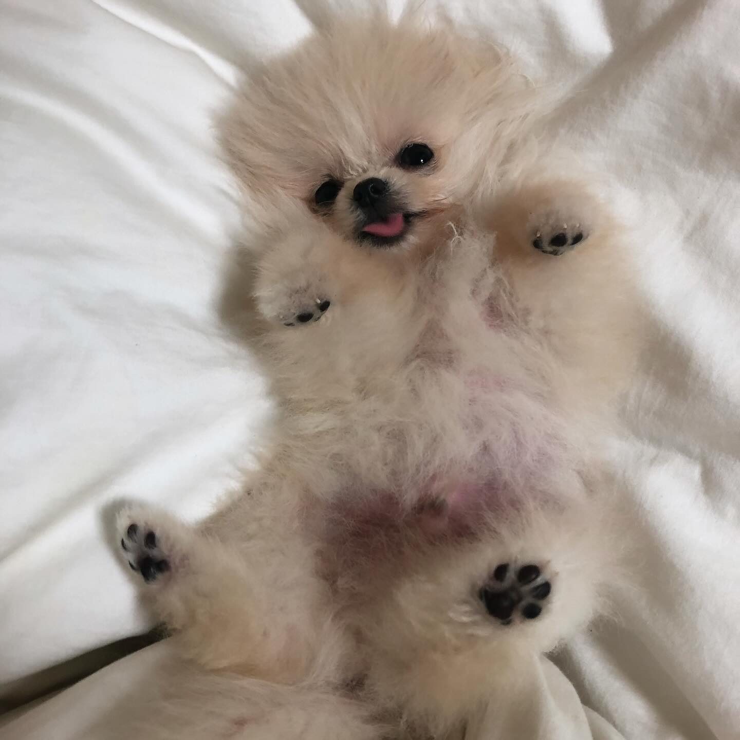 구르미 아가야 시절 너무 기여우 🥹❤️