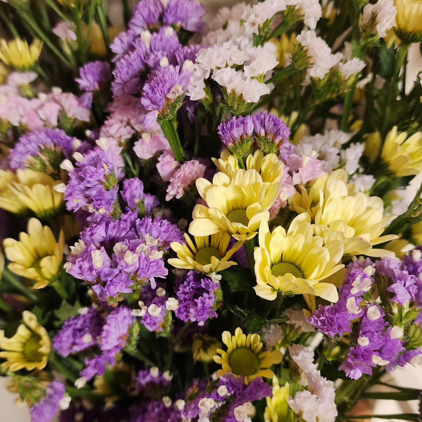 오랜만에 사본 꽃🌸
이사하고 꽃시장이 멀어져서 아쉽지만
시간내어서 꽃도 사고 해야겠다는 생각을 했다.

나에게 주는 선물💕🪻

그리고
생각보다 꽃 양이 많아 포장해서 주변 지인들에게 선물했더니
너무 좋아하셔서 나도 참 기분이 좋았다.🌼😊

#꽃선물
