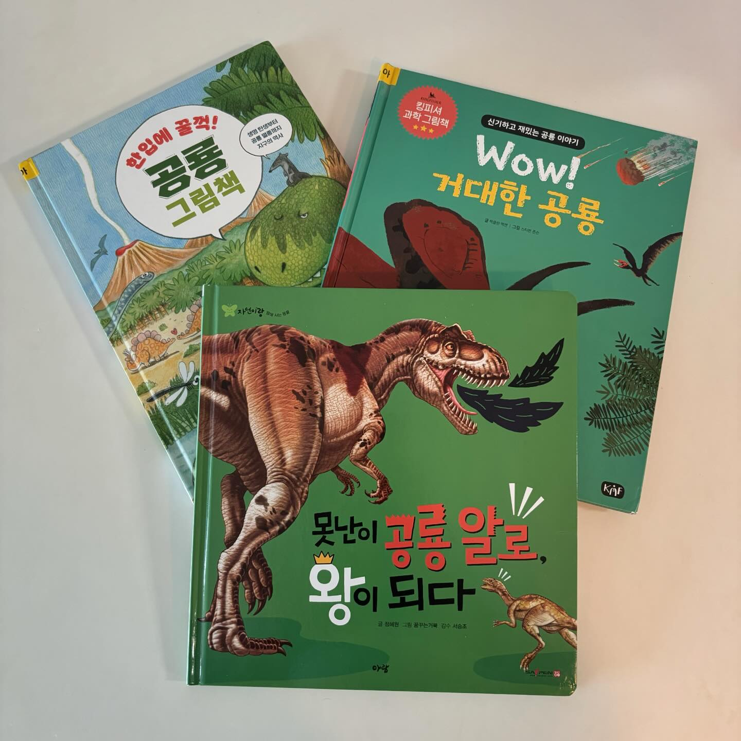 #공룡책 #책육아 

책선택이유
어린이집다니면서, 친구들이랑 동물에 관심이 많아져서 정말 좋더라고요! 자연이랑 구입하고 정말 관심이 없어서 속상해했는데, 이제 공룡책 읽어달라고하는 시기도 오더라고요! 그런데 왜자꾸 공룡멸종한것이냐고 물어봐서 곤란했어요. 도서관은 또 안간다고하고... 그래서 혼자 도서관가서 공룡멸종 부분 찾아서 빌려왔습니다 

책후기
아이) 그런데 왜 행성이 와서 부딪힌거야? 
엄마) 여기 내용이 나오는데.... 

책내용읽어줘도 그래서 왜? 라고 왜왜왜 질문 시기가 시작되었어요~ 지금까지 저는 엄마의 의견을 엄청 어필해서 말하는 육아했었는데 이제 체계를 바꿔서 아이 질문에 생각할 수 있도록 해야하는 시기가 왔나봅니다... 노력해볼께요... 

그래도 공룡책 읽는다고 하니 신기합니다. 공룡의 매력이란...

 #자연이랑