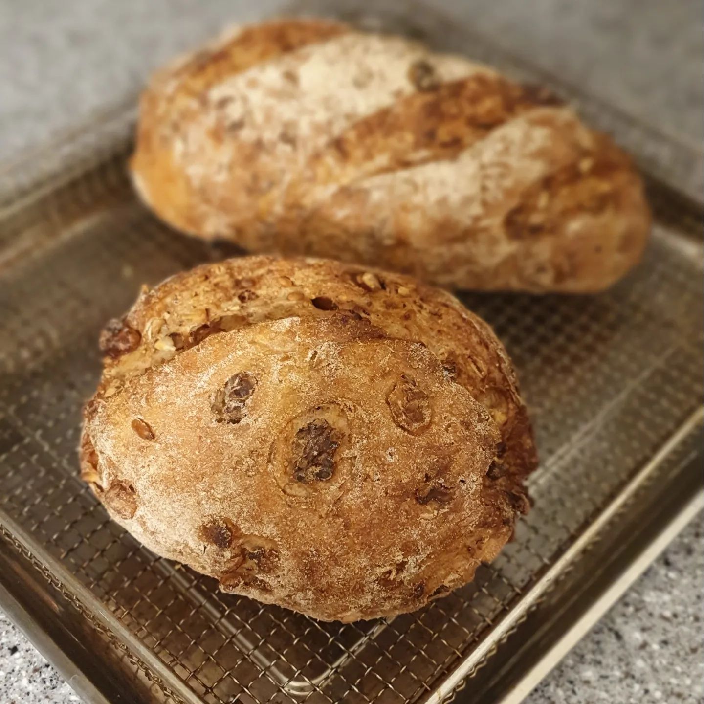 무화과 피칸 통밀빵 

다이어트 하는 공주를 위한 통밀빵 만들기

통밀빵 산다고 하길래 "엄마가 만들어줄께"

통밀빵 특유의 퍽퍽함이 아닌 최대한 부드럽게 만들기위해 4시간 넘게 접고 발효하고를 반복~~
반건조 무화과, 구운해바라기씨, 크리스피오트밀, 호두 등 견과류가 들어가면 발효가 잘 안되는 통밀 반죽이라 따뜻한 온도와 습도를 잘 조절해주어서 최대한 부드럽게 빌효했다.
최적의 온도와 맛있는 빵을 위해 하단에 자갈을 먼저 구워주면 온도도 올라가서 구움색 끝내준다.
예쁘게 성형해서 구워주니 쿠프도 끝내준다.

오늘도 우녹스가 우녹스했다.
예뻐서 한참 쳐다만봤다는~•
.
.
.
.
.
.
.
#통밀빵 #엄마표통밀빵 #무화과통밀빵 #호두통밀빵 #주말브런치  #いいね返します #좋아요테러 #좋아요반사 #팔로우 #맞팔환영 #맞팔 #선팔하면맞팔 #선팔맞팔 #좋아요테러 #좋반 #좋아요 #좋아요반사 #팔로우 #맞팔환영 #맞팔해요 #선팔하면맞팔 #선팔 #follow4like