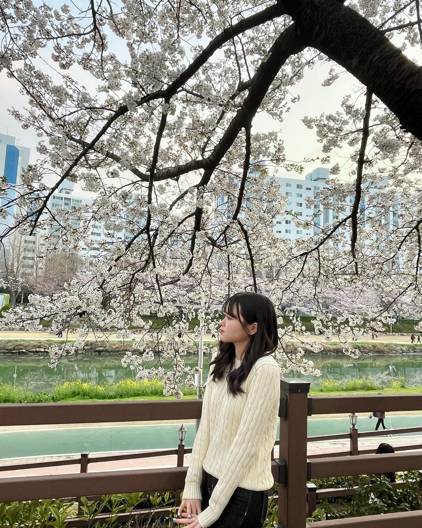 🌼🌸