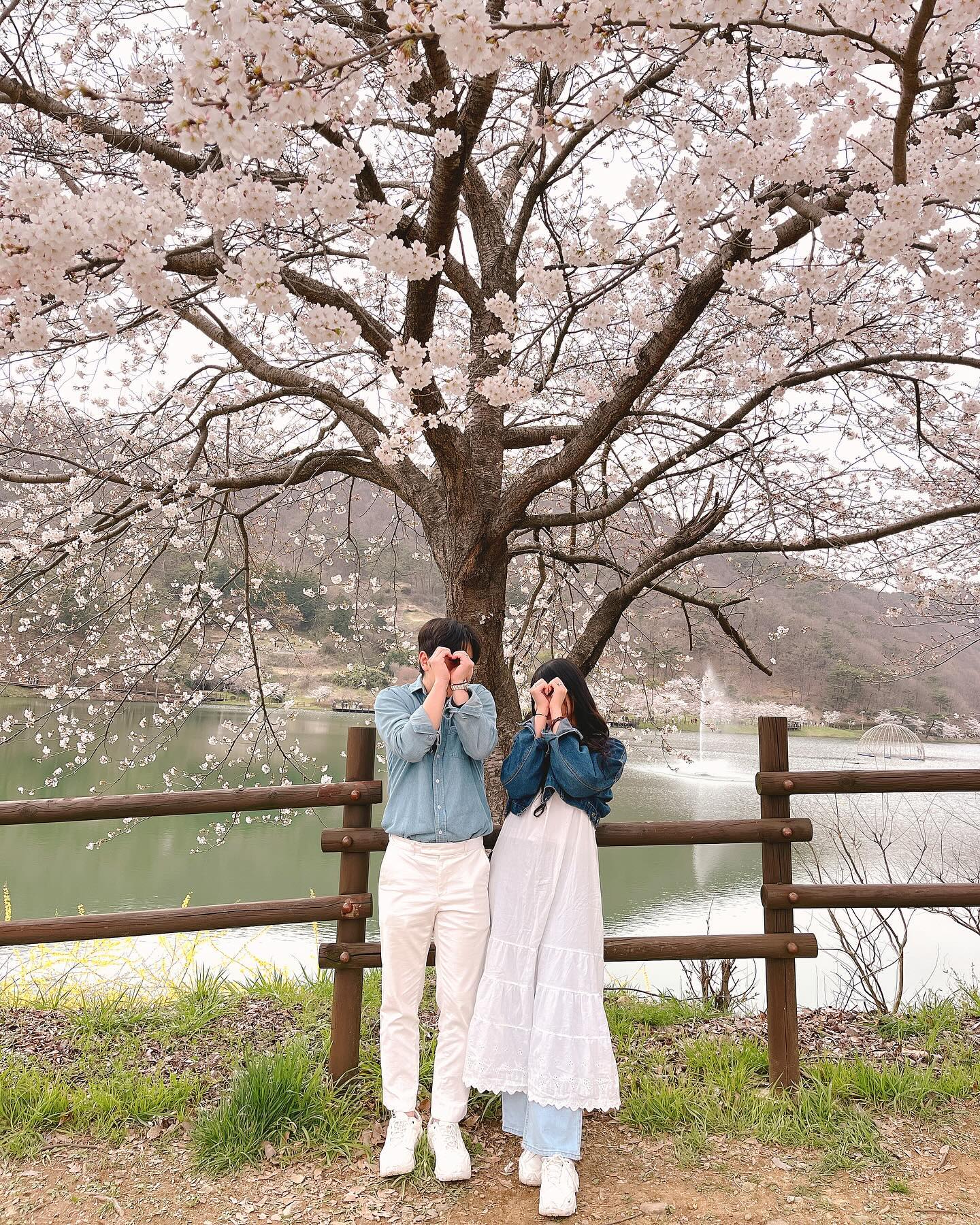 해기랑 첫 벚꽃🌸
