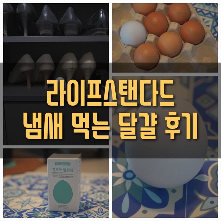 [평타리뷰] 라이프스탠다드 냄새 먹는 달걀 후기