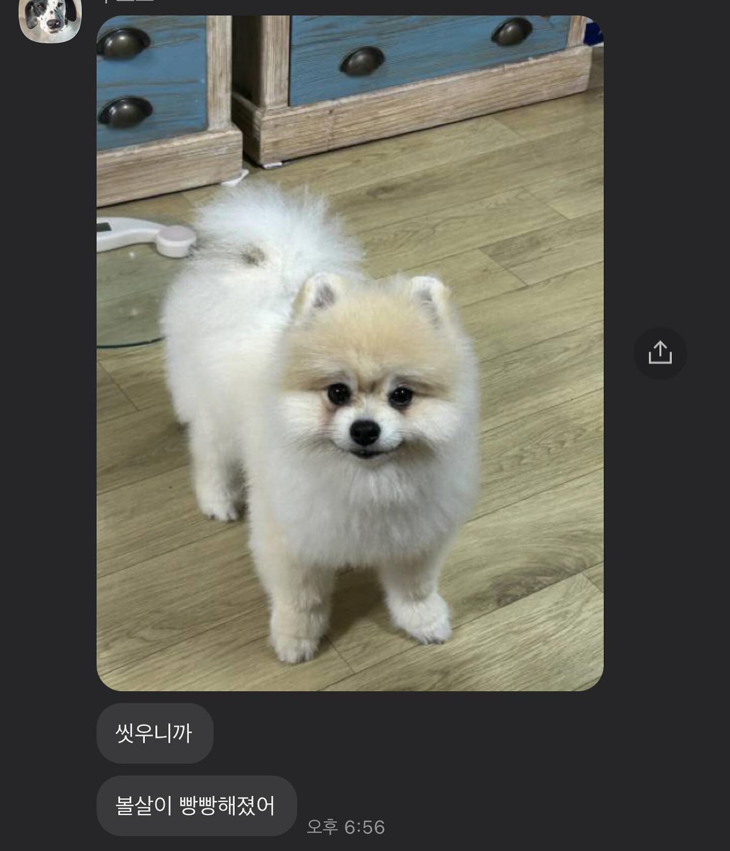 진짜 빵빵해 ㅋㅋㅋㅋㅋㅋ🍞
#다람쥐