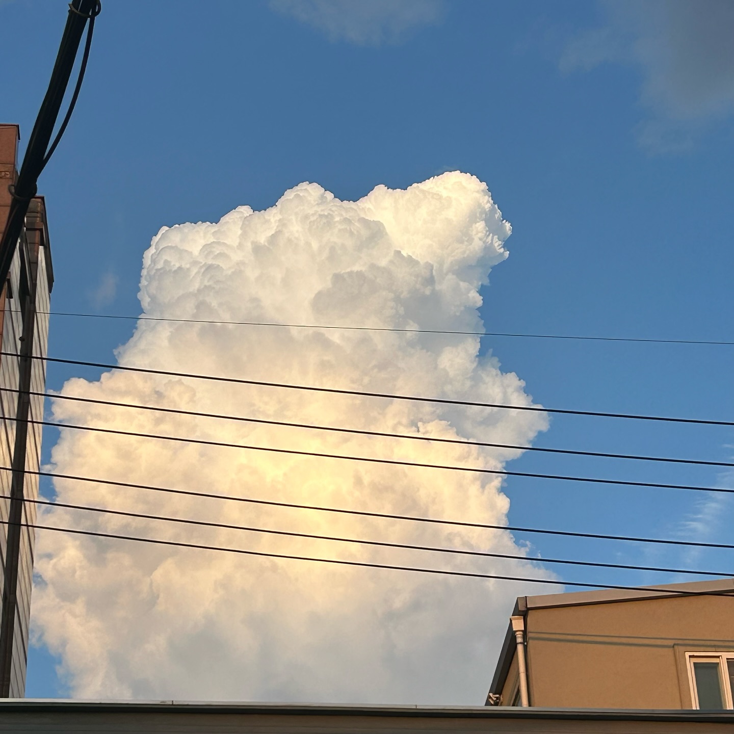 DAILY BLOG IN JULY _ 1