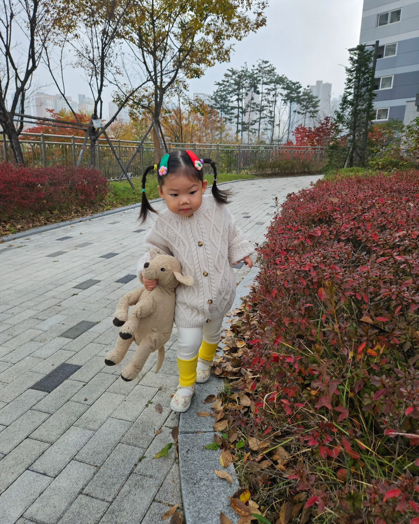 +896일💕
2023.10.31

등원길에 낙엽주워서 눈만가리고 숨은 귀염둥이😂
나뭇잎하나 줍더니 우산이라며 엄마도 하나 쥐어줌🍃

#29개월아기 #29개월딸랑구👶 #이소율은사랑입니다