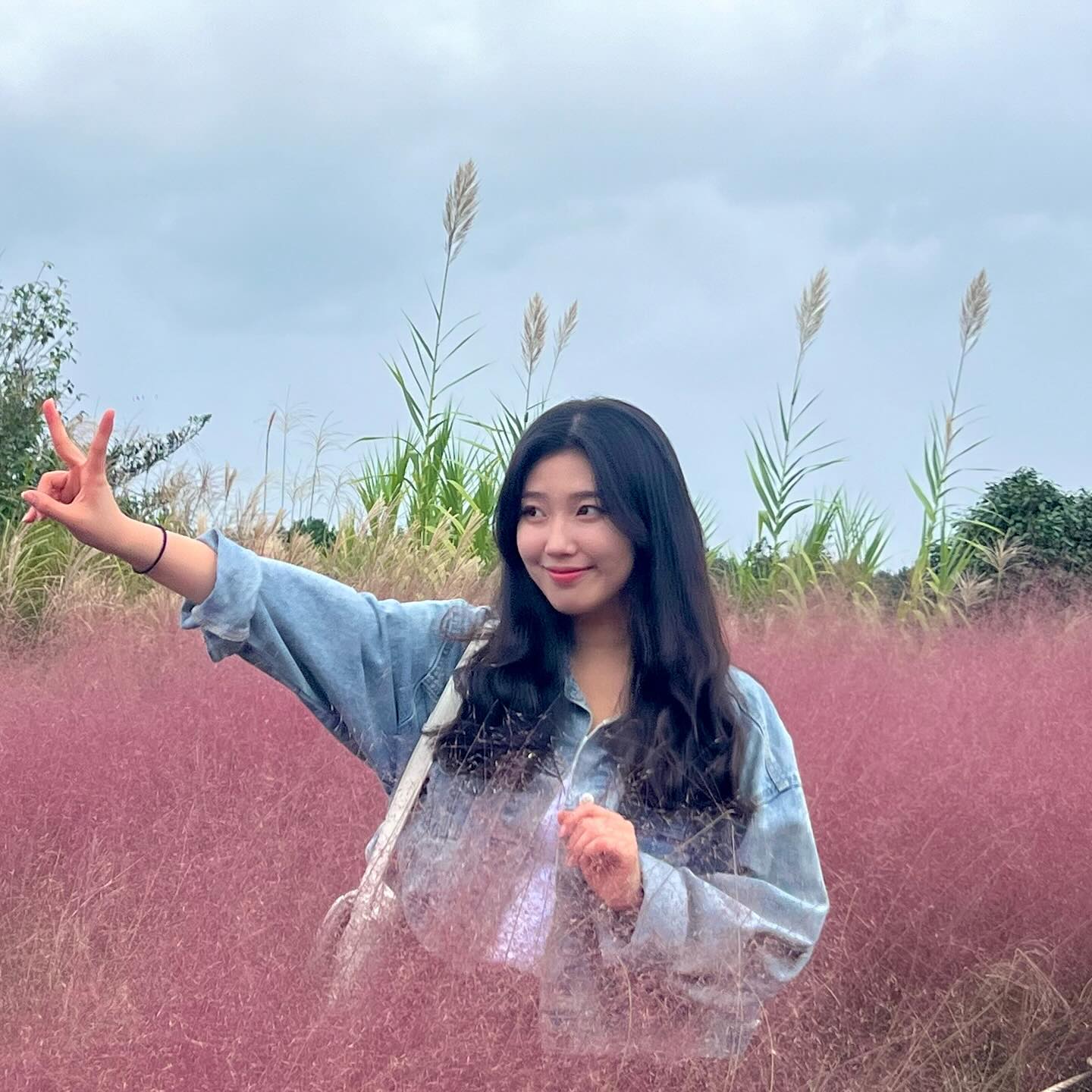 ㅠㄹ뮬뮬뮬뮬뮬륨류🎀☁️🎀
