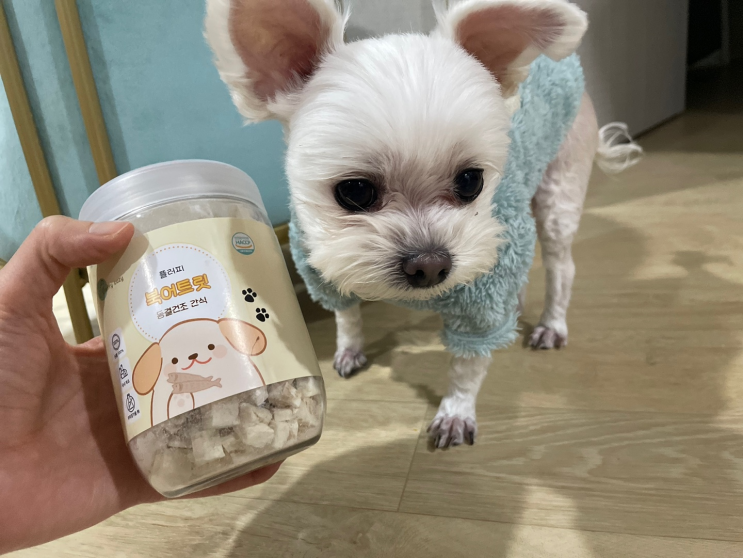 강아지간식 ,고양이간식 기호성 좋은 동결건조트릿 추천!