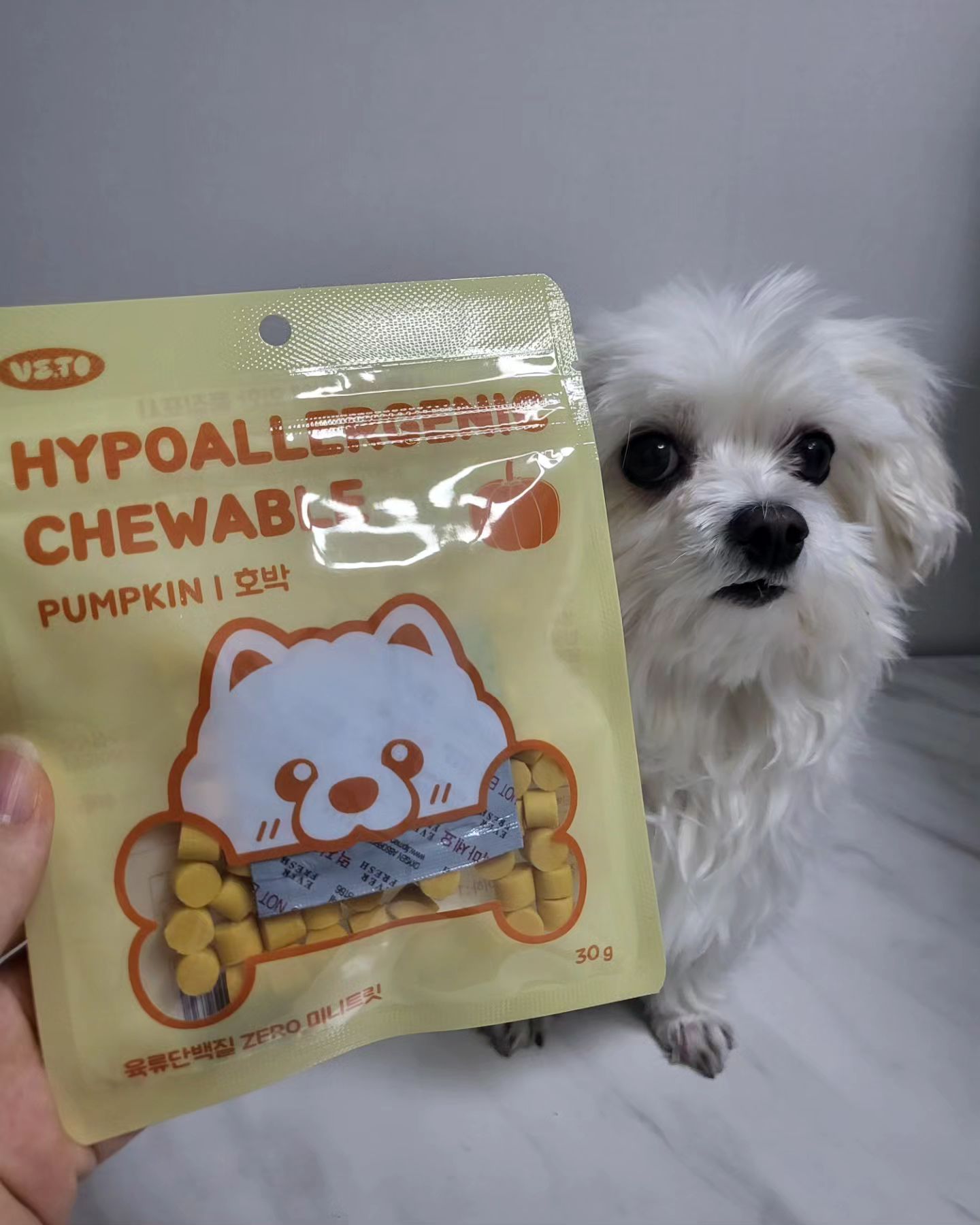 #협찬 #제품제공
⠀
#비토 #하이퍼알러제닉 #비건츄어블 호박맛 제공받았오😁
천연재료로 만든 100% 비건 간식이라 알러지 걱정 없는 간식
채소와 과일로 가득 채운 영양 간식이야🍎
식물성 단백질 사용으로 소화,면역력에 좋고
0.8cm 미니 사이즈라 노즈워크, 훈련용 간식으로 좋아👍
말랑말랑한 식감으로 어린 강아지부터 이빨이 약한 노령견까지!
자사 공장에서 안전하게 직접 제조하여 안심하고 급여할 수 있어💓
⠀
✅️철분, 비타민A, 비타민C, 비타민E 풍부
✅️풍부한 식이섬유로 변비 예방
✅️칼륨이 풍부하여 나트륨 배출
✅️심장질환 및 뇌졸중 예방
✅️항염 효과
⠀
#강아지노즈워크 #훈련용간식 #강아지비건간식
