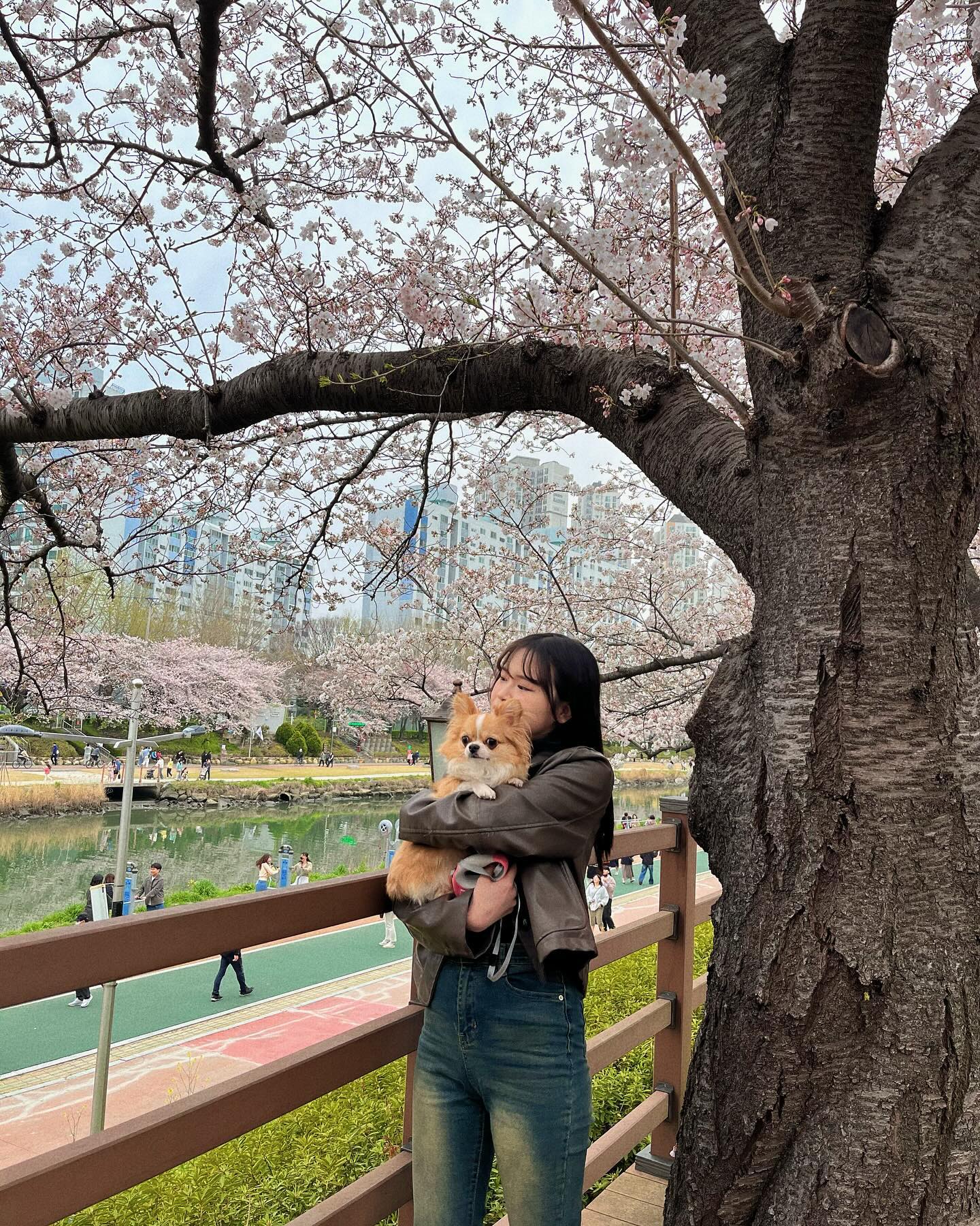 후추랑 꽃놀이