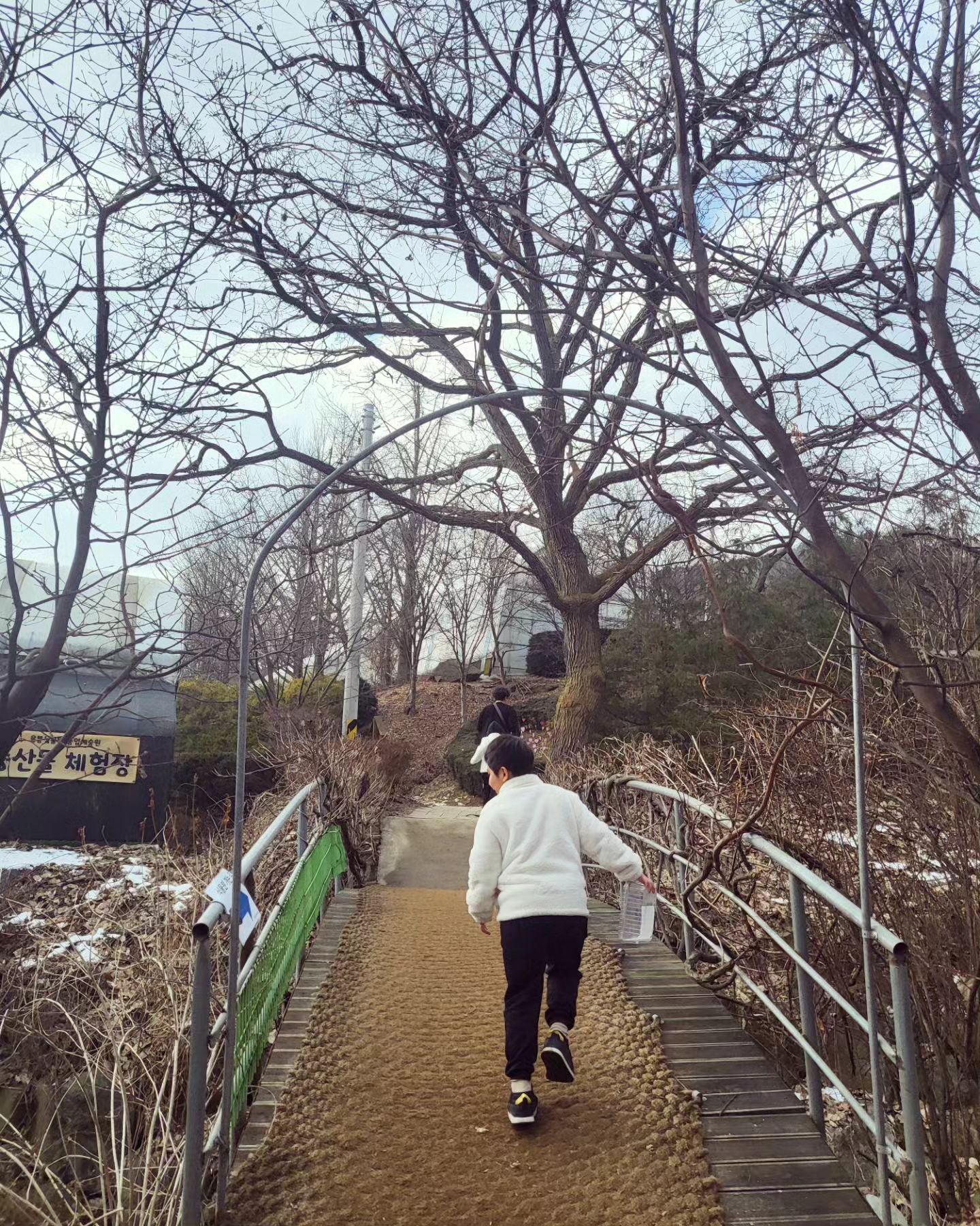 #겨울엔딸기 #🍓🍓🍓
좋아하는 딸기 따러 딸기농장으로
딸기향기 가득한곳에서
허브와 바나나 나무, 왕레몬도 보며
따뜻한 실내에서 과일도 보고 맛보고
동물 먹이체험까지 너무 즐겁게 보낸 곳:)

1인 딸기 1팩씩
오늘 비타민 가득한 하루로♡

#사랑둥이들#영웅영원스타그램
#형제스타그램#연년생형제#형제맘
#두아들맘#아둘맘#애스타그램
#육아소통#육아#일상#소통
#소통환영#맞팔선팔환영