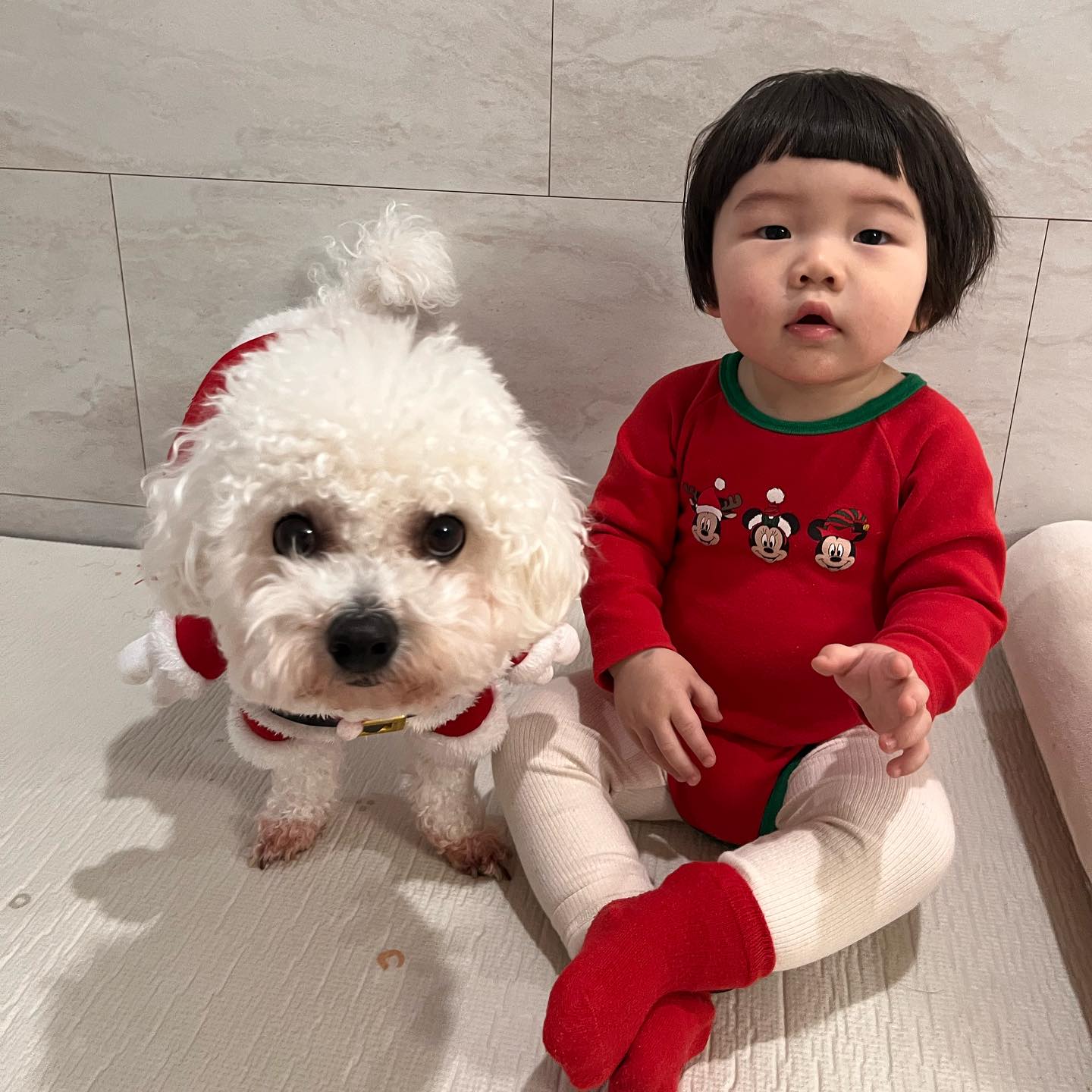 아따 사진찍기 힘드네