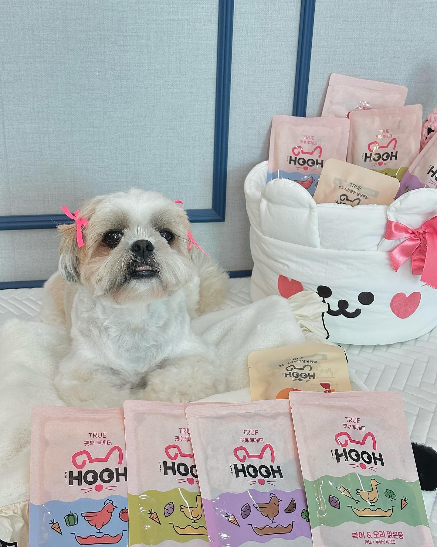 #찡꿀꿀🫶🏻
#협찬 #제품제공 

찡코할미에게 보양식 4종 + 닭안심 2종 선물을 보내주셨어요 .. 🎁

우선 찡코픽은 찜닭&닭안심 :)

찡코픽중에 닭안심라인은 국내산 하림 무항생제 닭안심을 원물 그대로 만든 통순살코기라 닭 좋아하는 찡코에게 1순위 !

관절건강이나 피모개선,장건강에 도움이 되서 요즘 설사를 유독 많이 했는데 닭안심은 꾸준히 먹였지요 ,, 🐔

+ 2종중의 1종 닭안심 크릴새우는 항산화작용과 혈류개선에도 도움이 된다니 간식주고 건강해지고 !!! 💪🏻

보양식 라인은
오리고기찜/오리맑은탕/찜닭/닭볶음탕 총 4종이 있었는데 울 🐽는 찜닭을 제일 좋아했어요 🤭

닭,오리베이스랑 들어가는 채소들이 국내산만 들어가있고 처음엔 국물이 조금 많지 않나 .. ? 라는 생각을 했지만 오히려 목 막히지 않은지 더 잘먹었어요 🫶🏻

인공감미료나 화학첨가물은 전혀 들어가지 않고 나트륨 걱정없이 급여할 수 있어서 너무 좋죠 :)

강아지,고양이,노령견까지 부드럽고 습식타입이라 부담없이 먹을 수 있고! 종류가 4가지라 울 친구들에게 기호성에 맞게 급여가 가능해서 입맛에 맞게 픽 🤍

단백질&채소가 균형있게 들어가있어 한끼 대용으로도 좋아요 !

급여하면서 제일 좋았던건 한팩씩 포장되있어서 위생적이고 전자레인지 사용이 가능한 패키지로 구성되있어 살짝 뜯어 20초 따뜻하게 먹이니까 기호성이 더 쭉쭉 - )

울 친구들 올 여름 보양식은 pethooh 

#펫후 #여름보양식 #강아지보양식 #고양이보양식 #사료안먹는강아지 #사료안먹는고양이 #반려견보양식 #반려묘보양식 #강아지건강식 #고양이건강식 #강아지특식 #고양이특식 #노령견간식 #노령견특식 #노령견특별식 #노령묘특식 #노령묘특별식