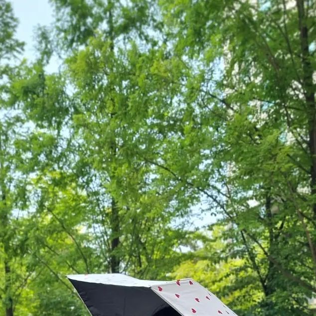 선희 on Instagram: "#광고 ❤️하트 뿅뿅 이쁘죠 자외선 강할 때도 비올 때도 실용적으로 사용할 수 있는 #크로커다일 #양산 #양우산 #우양산 이에요 고밀도원단에 방수코팅 방풍기능에 알루미