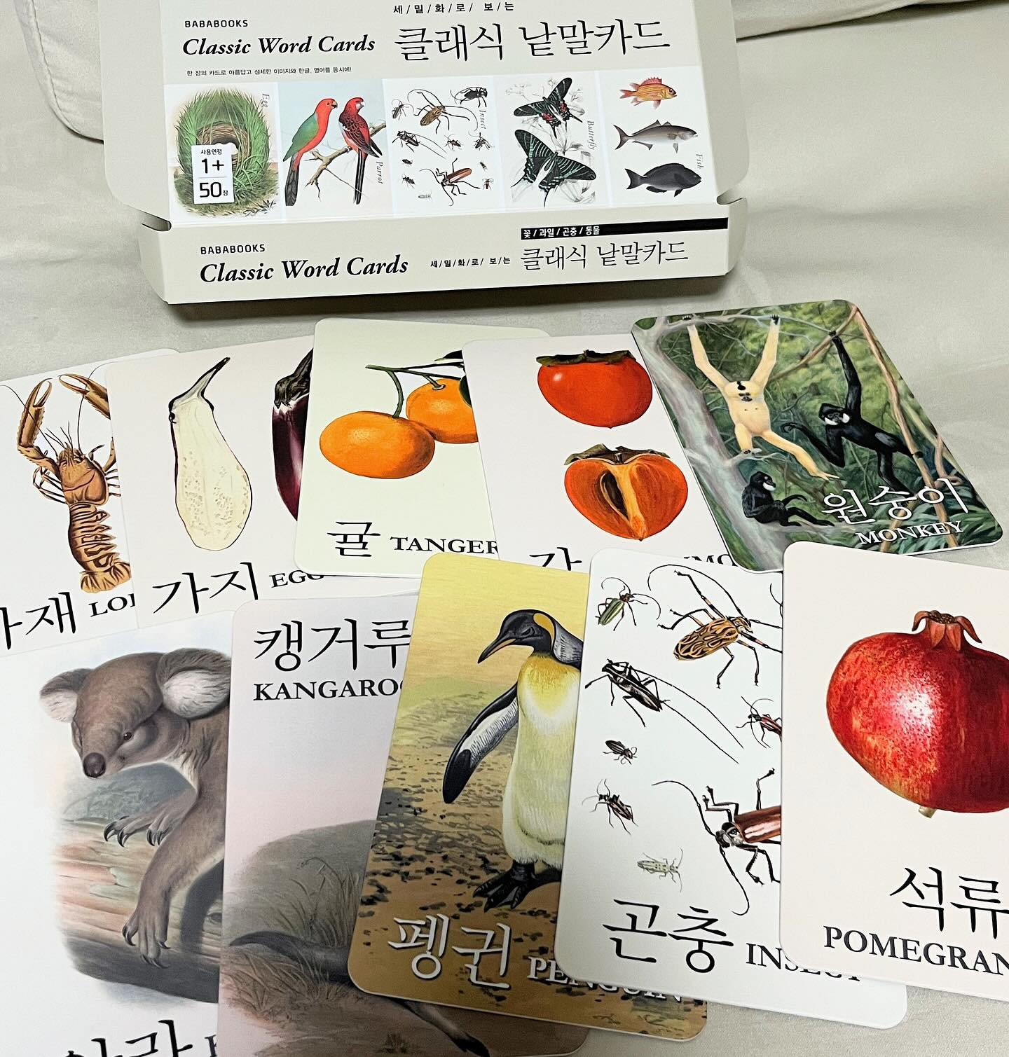 #할인구매 bababooks.kr #바바북스 #낱말카드
실사보다 디테일한 그림이 포인트인
바바 클래식 낱말카드예요 :)
어린아이의 언어능력 향샹과
단어를 학습하기 좋은 제품이예요!!

- 시각적인 단어 학습
- 이미지와 단어 매칭
- 문장을 구성 연습
- 카드게임 재밌게 학습
평소에 말이 느린아이가 있다면
미디어 시청 보다는 재밌게 단어연습도
하면서 카드게임도 하고 아이에게 문장까지 연결해서 설명해 주면 더 좋을꺼 같아요!! 
아이의 창의력 어휘력까지 동시에
잡을 수 있는 바바 클래식 낱말카드로 픽
#바클카 #음식 #출산선물 #패션 #뷰티  #바바클래식낱말카드 #임신선물 #먹방 #백일선물 #돌선물 #디자인 #코덕 #바바북스낱말카드
