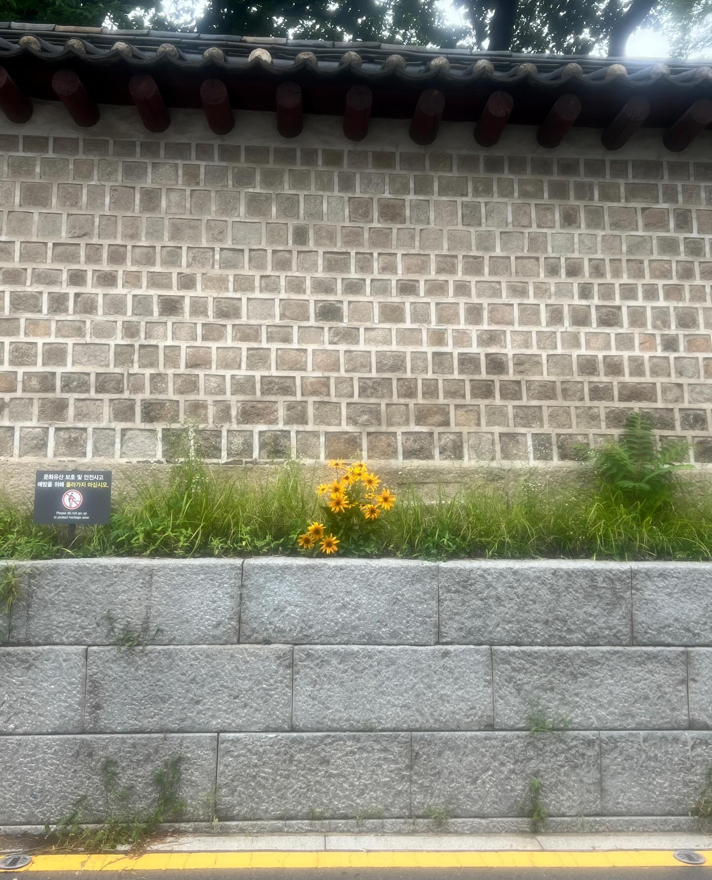 한해의 절반을 보내며 •••🫡