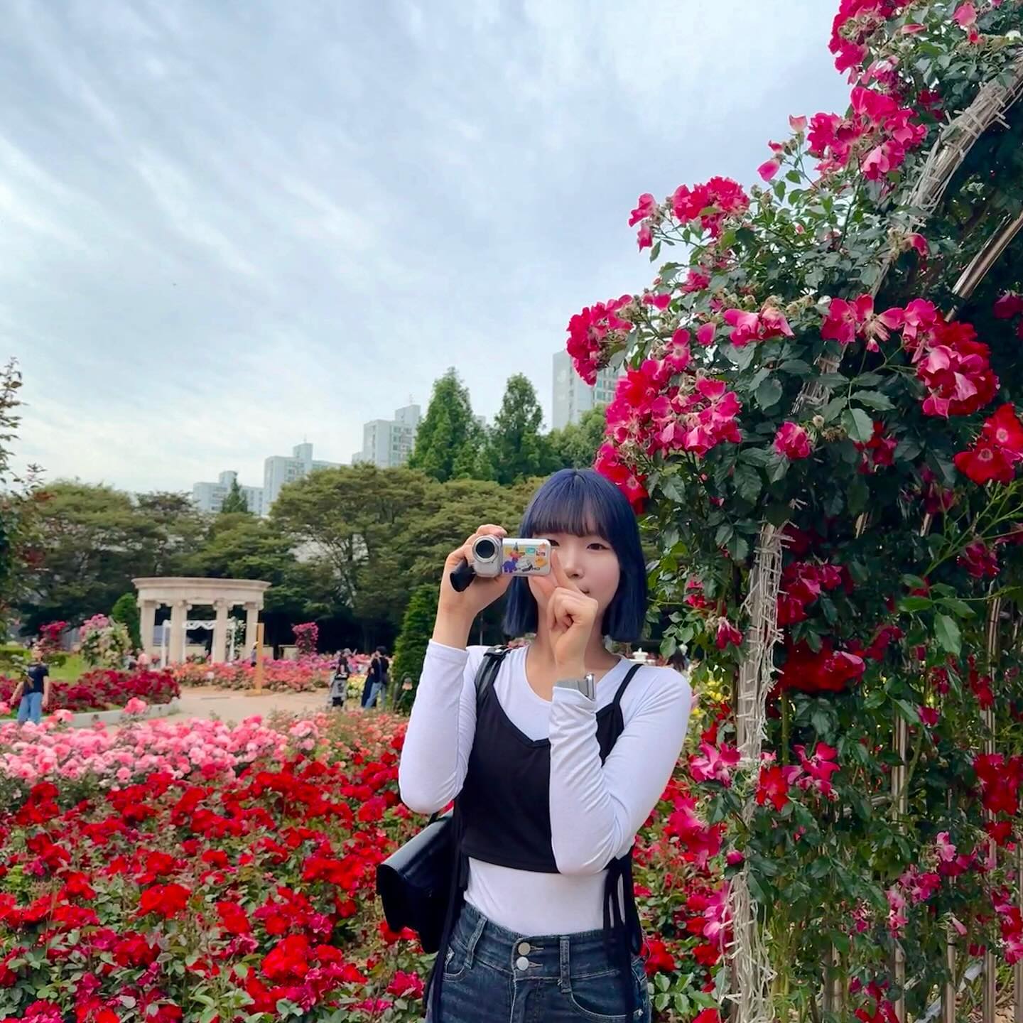 콘텐츠