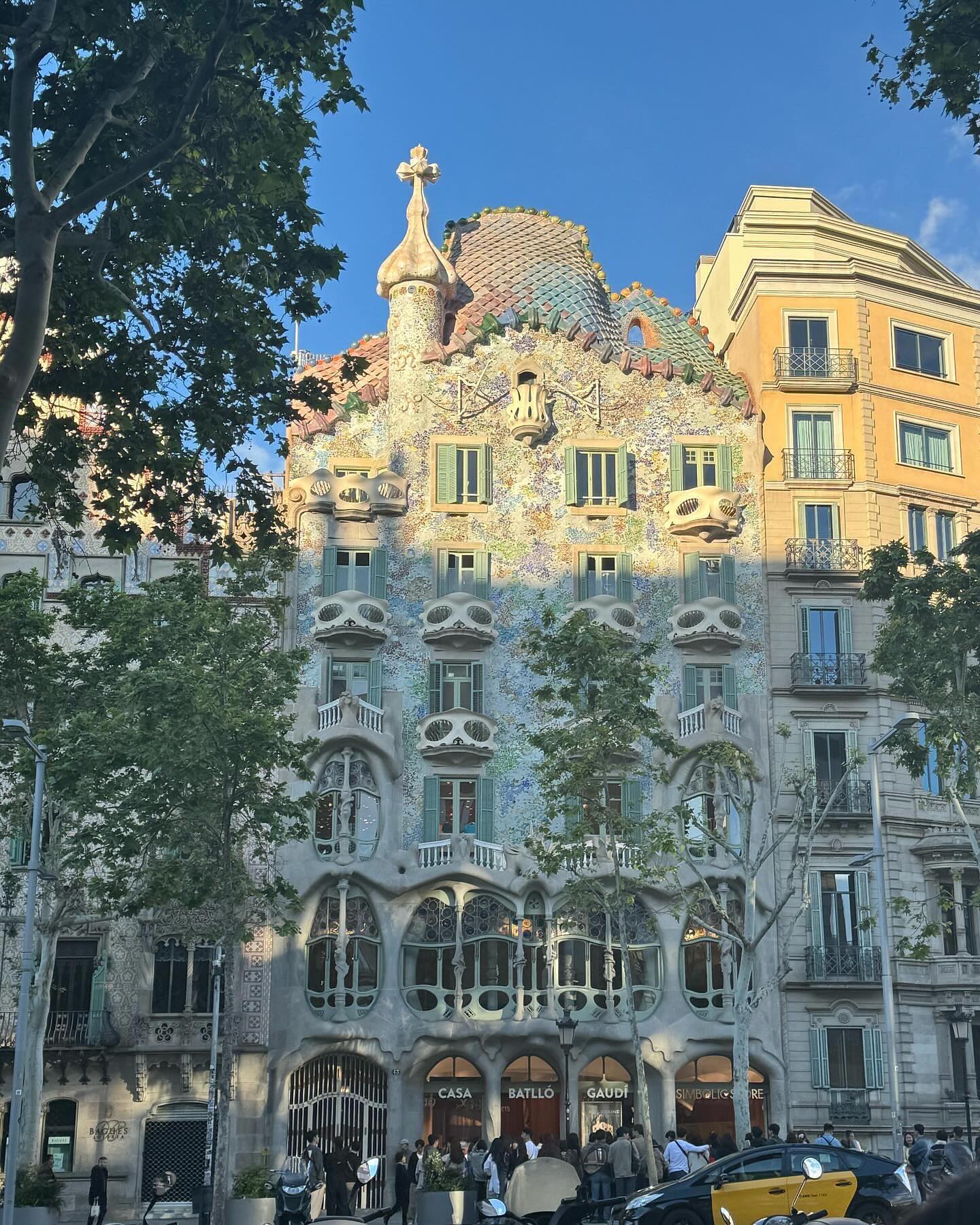Gaudí🦎