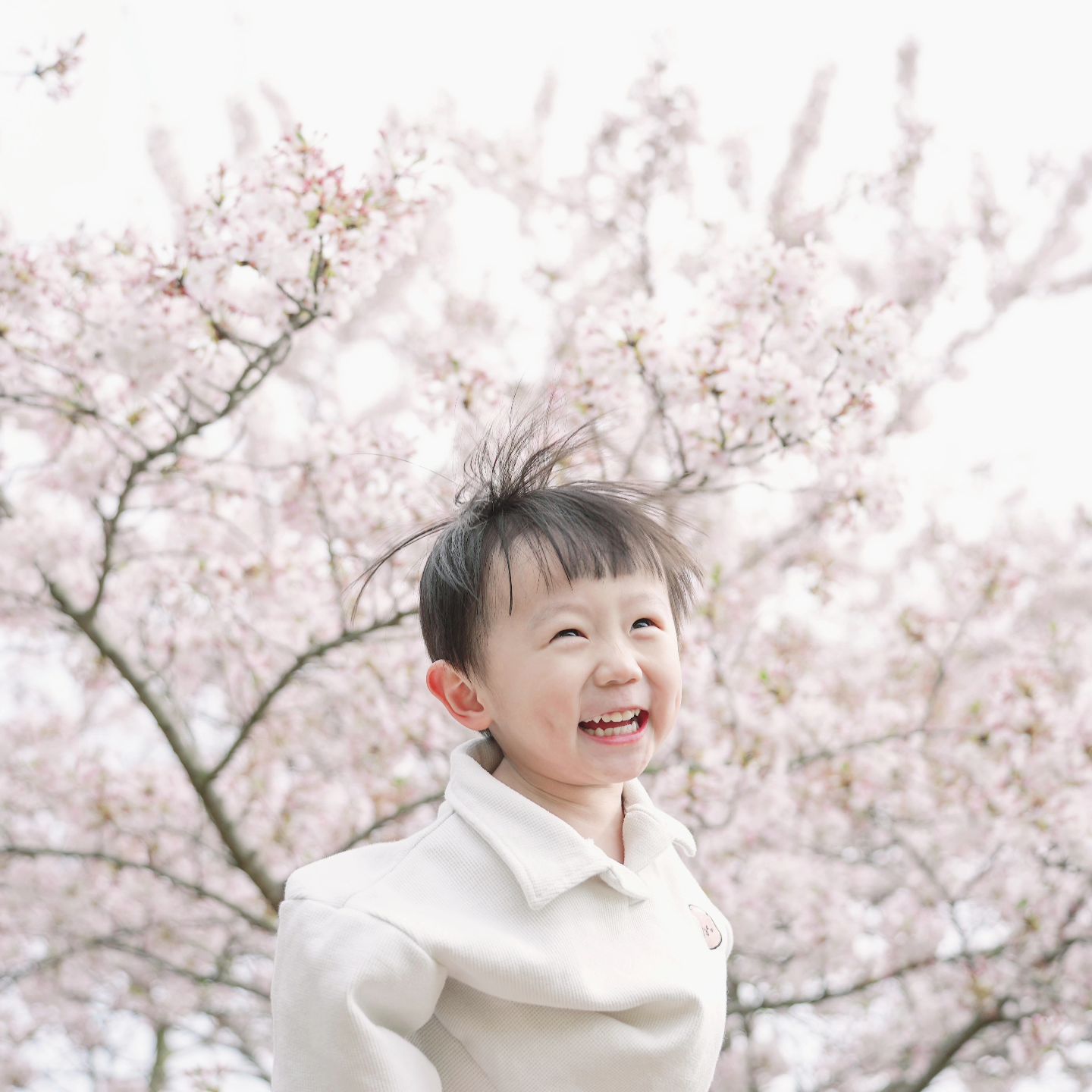 벚꽃 다온도 너무 예쁘지
제주도 좋지
비행기도 볼 수 있지
봄은 좋지
오늘은 금요일이지