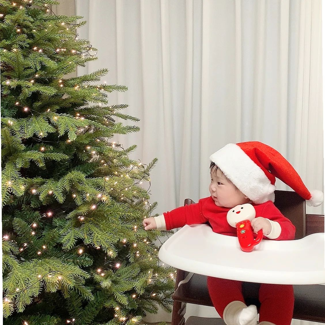 .
첫 번째 크리스마스가 
제법 마음에 드는 아기 산타 🎅
.
아가 컨디션이 좋아서
잘 먹고 잘 놀고 잘 웃고
크리스마스 홈파티 성공적❣️
.
오늘은 어제보다 더 재밌게 놀자
(ps.진규 삼촌 선물 고마워요🤭)
.
#일상그램 #일상스타그램 #일상 #데일리 #데일리그램 #크리스마스 #베이비 #베이비그램 #육아 #육아맘 #육아그램 #육아스타그램 #메리크리스마스 #아기산타 #홈파티 #럽스타 #럽스타그램 #육아소통 #6개월아기 #크리스마스트리 #크리스마스트리 #10년차커플 #10년째연애중 #퓨어락아기산타