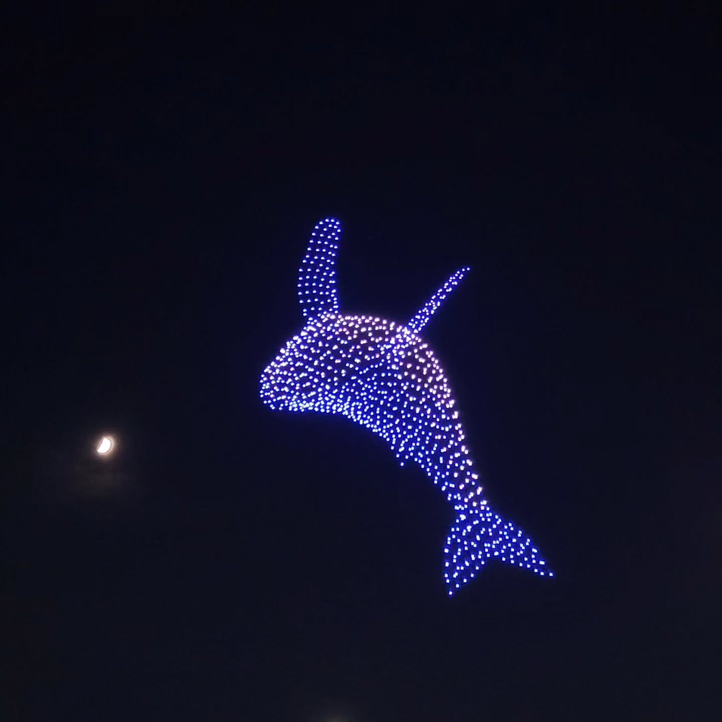 🐋🌌🌛