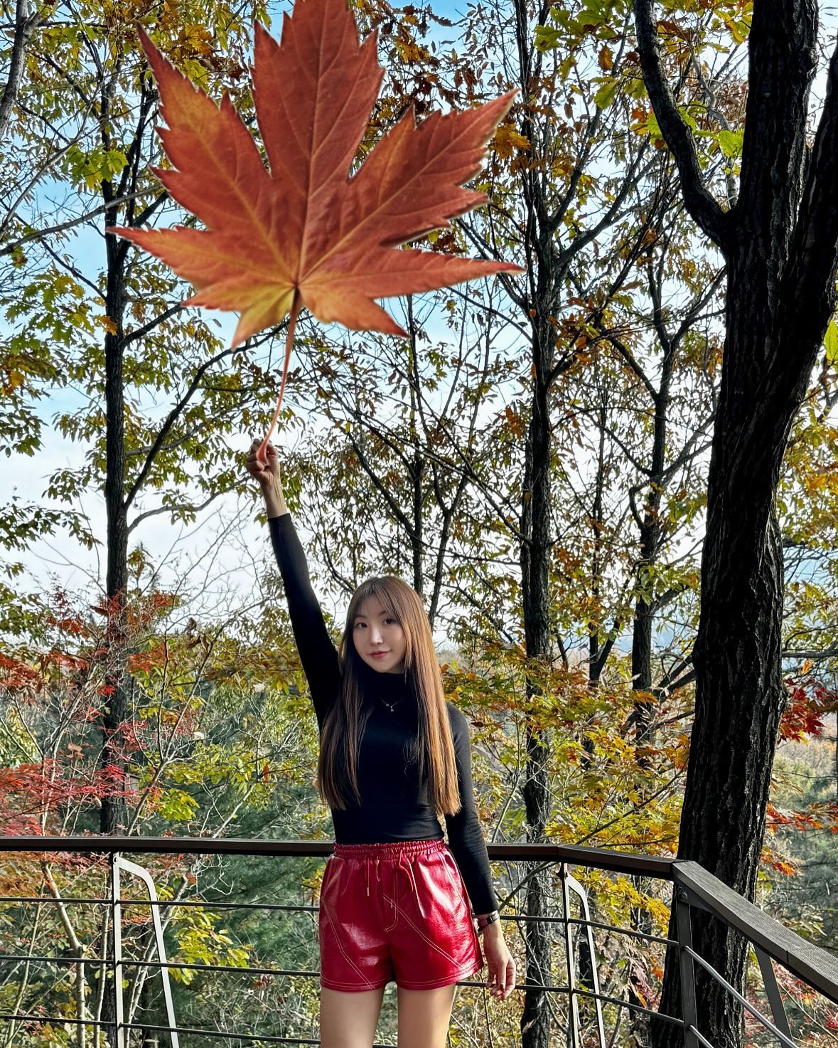 휴 단풍잎이 너무 커서 날라갈뻔했네🍁
즐거웠던 #단풍구경 🍂🤎

#화담숲 #단풍여행 #단풍놀이