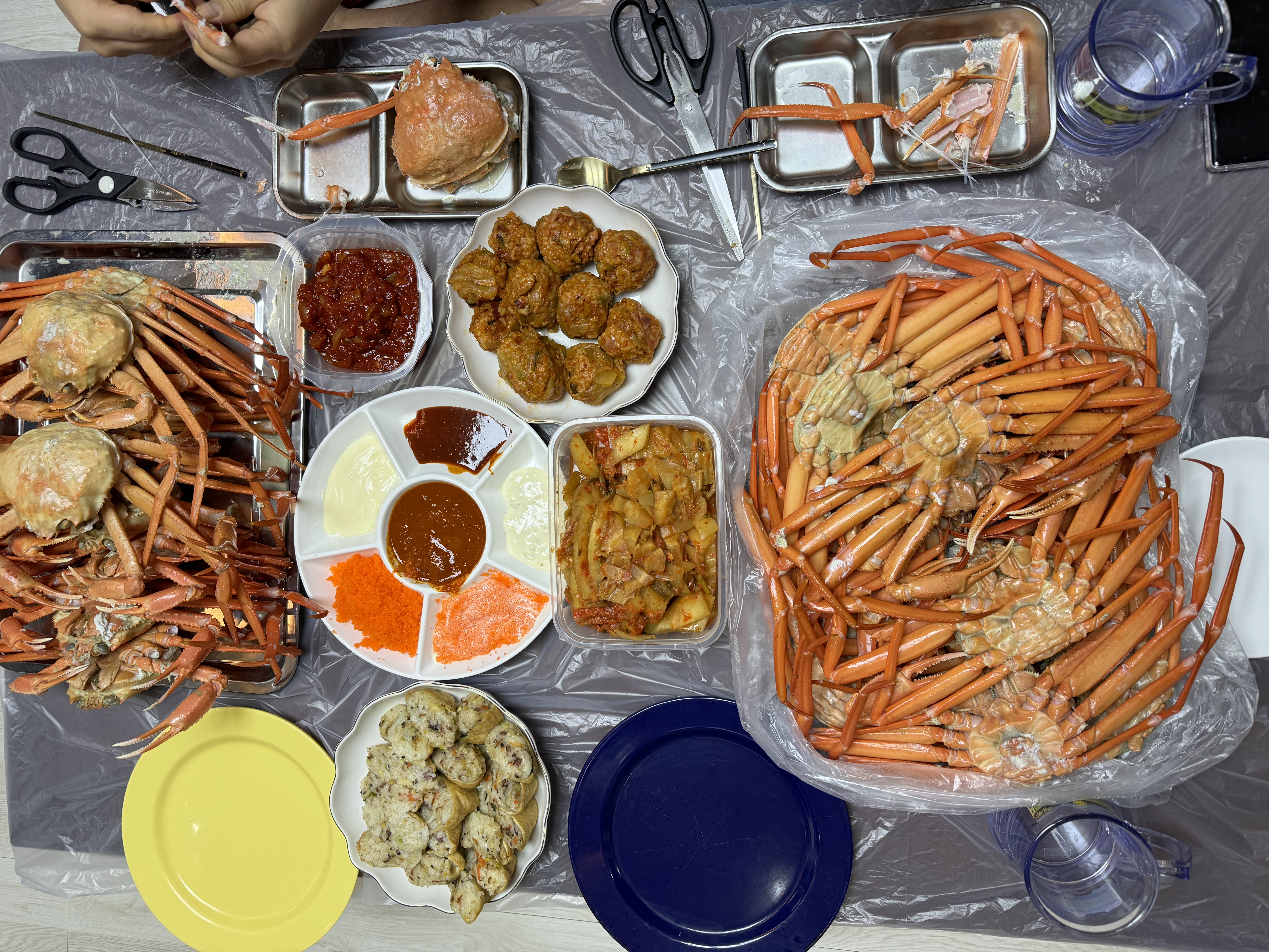 콘텐츠