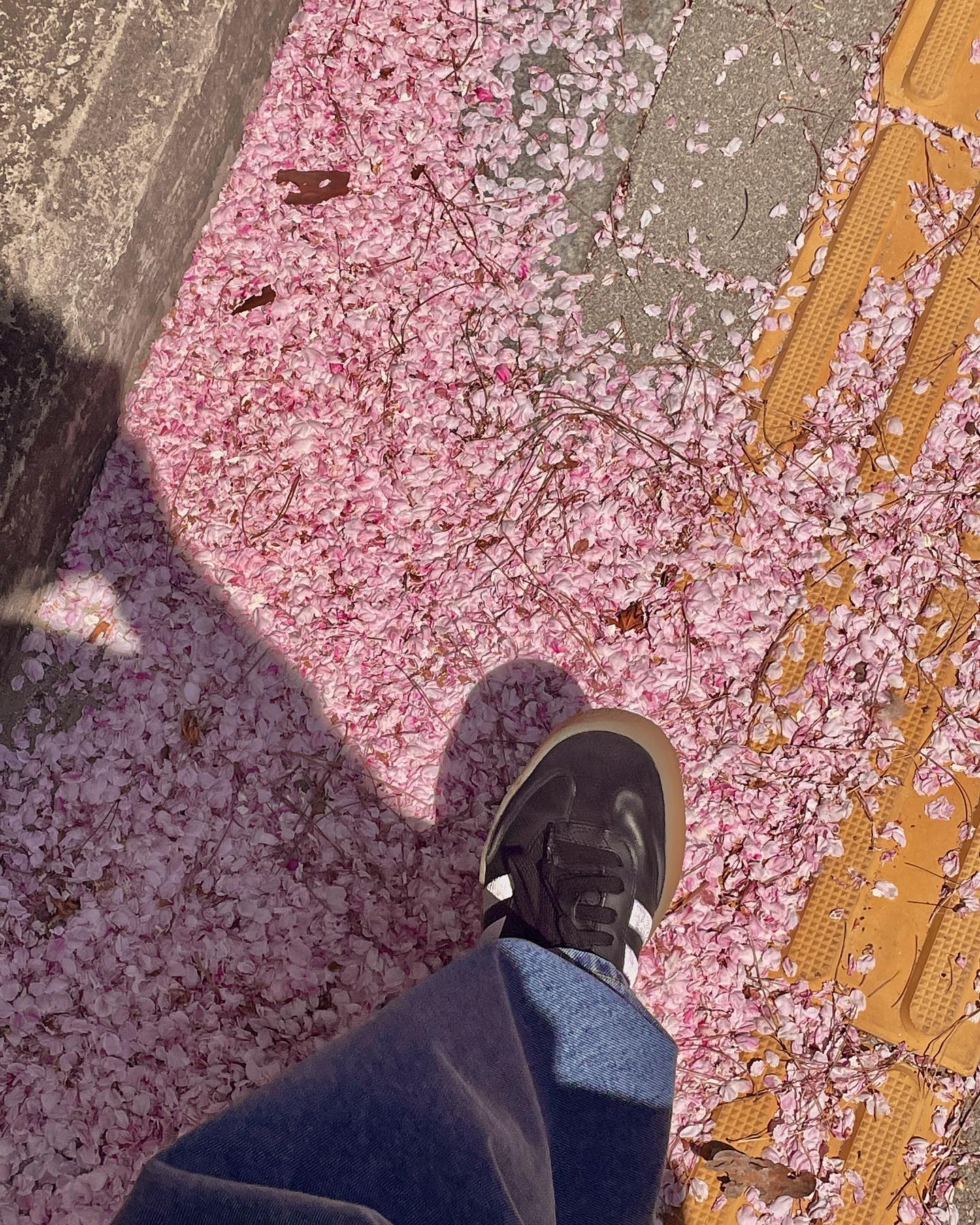더워지는건 싫지만
봄은 조티~🎵🌸