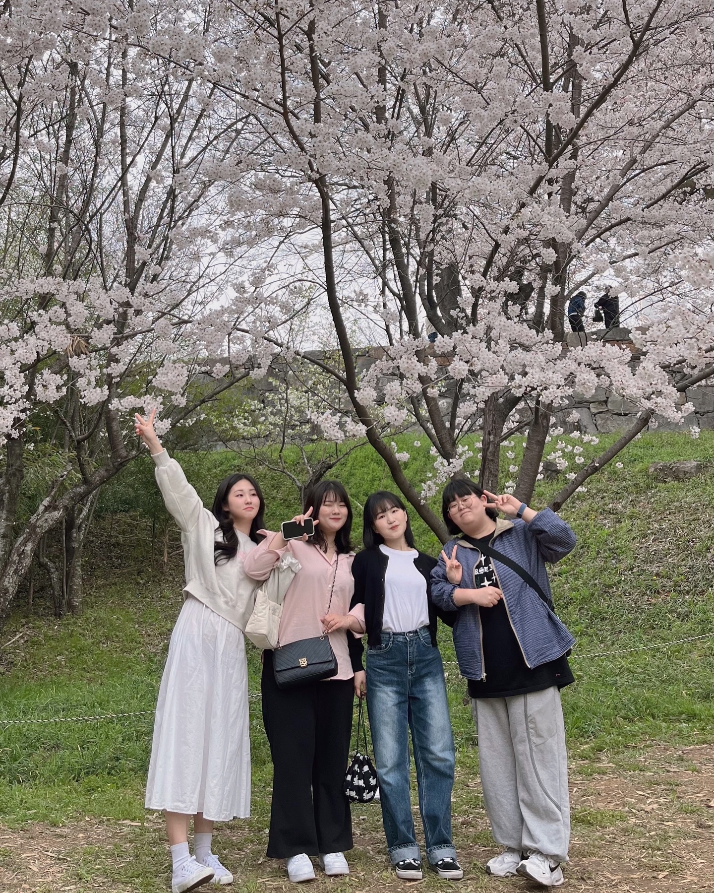 우리 11년지긴데 같이 벚꽃놀이는 처음이더라 ?! 🫢🌸🩷