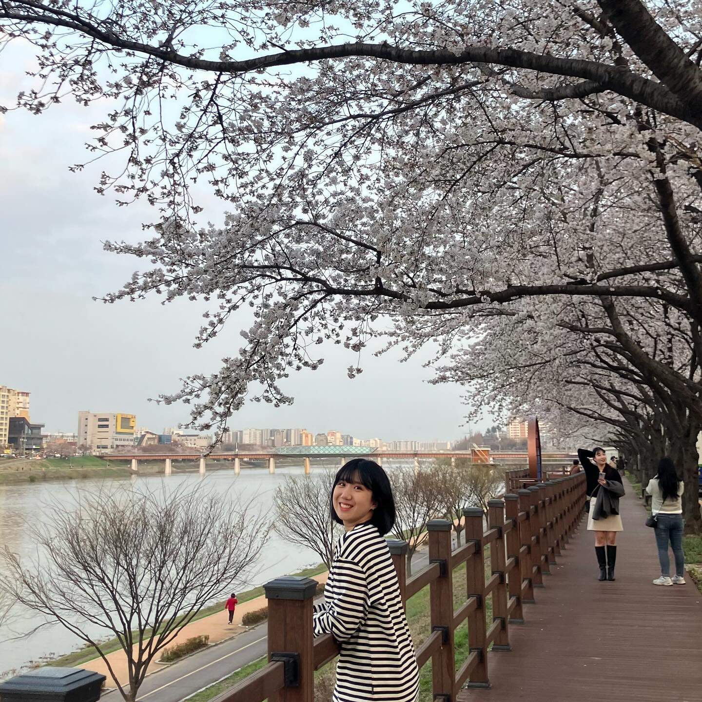봄내음 솔솔 함께하는 벚꽃놀이 햄보캐 🌸🩷
뭐가 꽃인지 모르겠다구요 ~~? 중간에 있는 민지꼬..ㅊ ㅎ
.
.
.
.
.
#20240401 #일상 #daily #ootd #selfie #selca #봄날 
#daegu #대구 #벚꽃스타그램 #민지꽃🌸 #럽스타👩‍❤️‍👨🩷