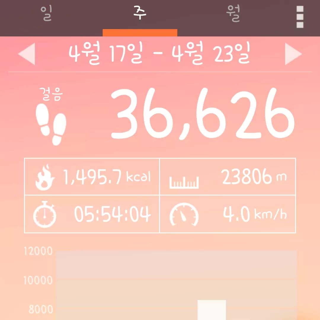 저번주 일주일 동안의 운동 일지