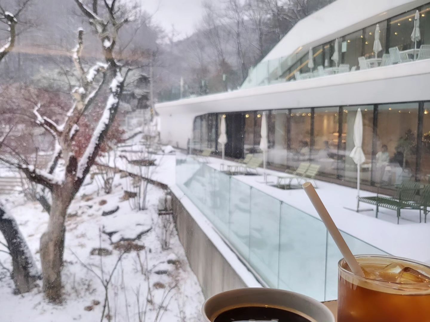눈 내리는 날 ☃️
#멍때리는시간
조용히 자연과 함께 할때 평온함을..💕
.
.
.

평점☆☆☆☆☆

#뷰카페 
#분당카페 
#서울근교카페추천 
#일상그램📷 
#눈내리는날
#모아니카페
#카페추천
#자연감상
#힐링시간🌿
#자연이좋다