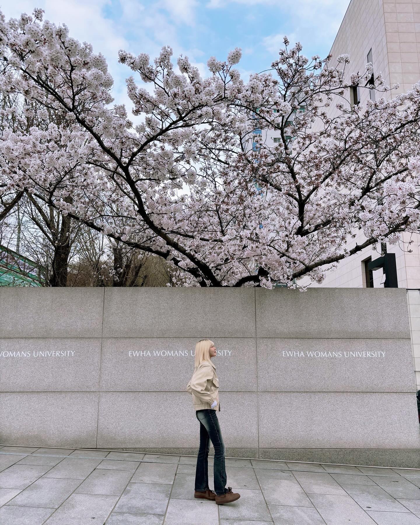 나도 팝콘 봤당🌸