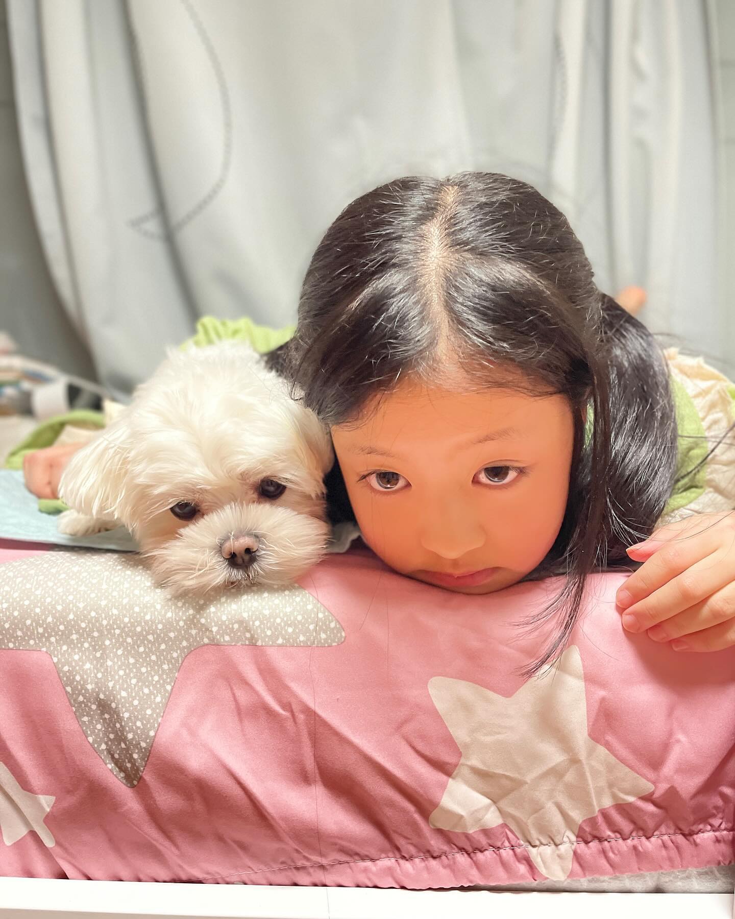 오늘 푸딩이 뽀송뽀송하게 목욕했어요~🐶