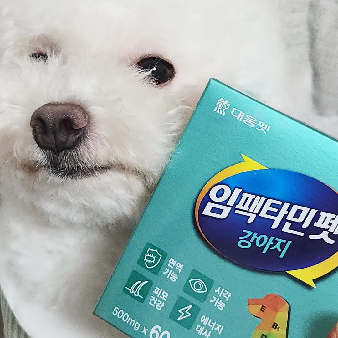 #협찬 

감자가 대웅펫 임팩타민펫 강아지를 받았어요 🐶 

임팩타민펫 강아지 하루 1정으로 강아지 건강에 필요한 13종의 비타민과 미네랄을 한 번에! 

츄어블 형태로 기호성을 높인 반려동물 영양제 

‘임팩타민펫’ 강아지의 면역기능, 시각기능, 에너지대사 등에 강아지 건강에 도움 

사람 건강기능식품과 똑같이 제품에 표기된 함량 100% 보장 

비타민A : 눈 건강, 피부 건강에 도움
비타민B : 활력 개선에 도움
비타민D : 뼈&관절 건강에 도움
아연 : 면역력에 도움
비타민E, 셀레늄 : 항염 & 노화방지에 도움
엽산 : 빈혈, 신진대사에 도움
프락토올리고당 : 장 건강에 도움 

습기와 산화에 강한 개별 PTP 포장으로 안정성과 보관&급여에 용이 

츄어블 형태로 원하는 제형으로 급여 가능합니다. 갈아서 가루로도 급여가 가능! 

🥔감자 후기🥔
감자가 영양제를 많이 챙겨주고는 있는데
눈, 면역, 피부, 뼈 이런걸 하나하나 다 사는것도
챙겨주는것도 조금 어렵더라구요..!
근데 요 대웅펫 영양제는 하나로 다 가능해서 관리해주기는 정말 편하더라구요🥰
감자는 반으로 쪼개서 급여해주고 있는데 먹이기도 편리해서 좋더라구요👍🏻 

#광고 #대웅펫 #임팩타민펫 #비숑눈물자국 #비숑눈물자국영양제

daewoongpet_official