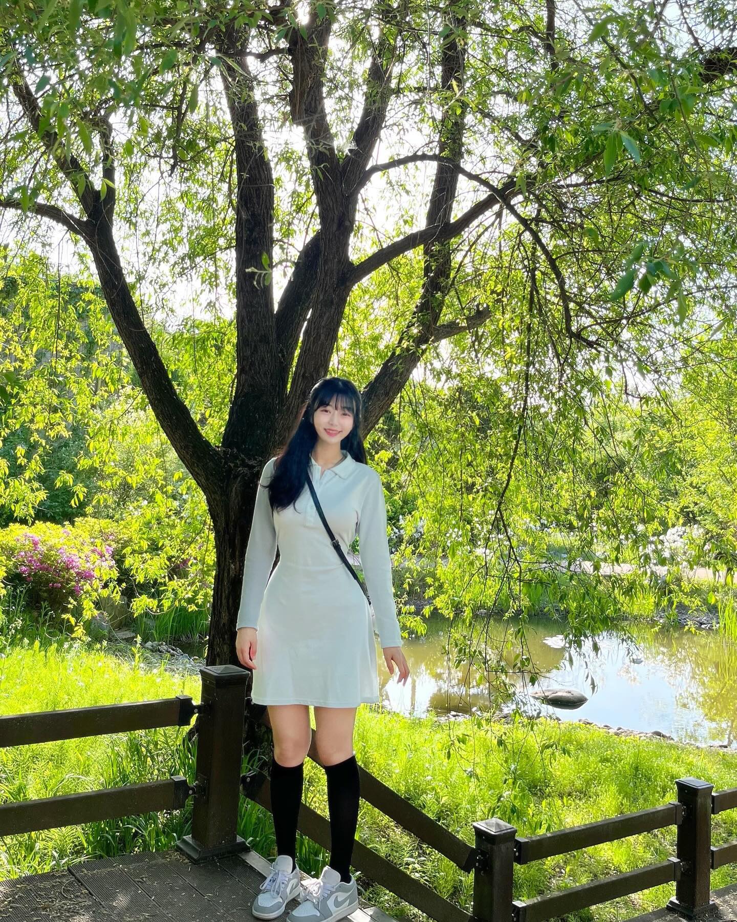 ☘️🍀🌷🫧🕊️🤍