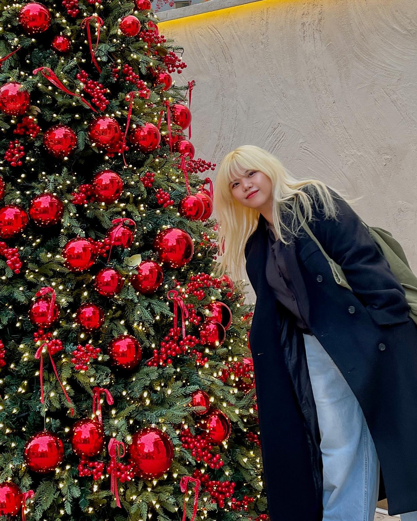 트리 시즌 🎄💞