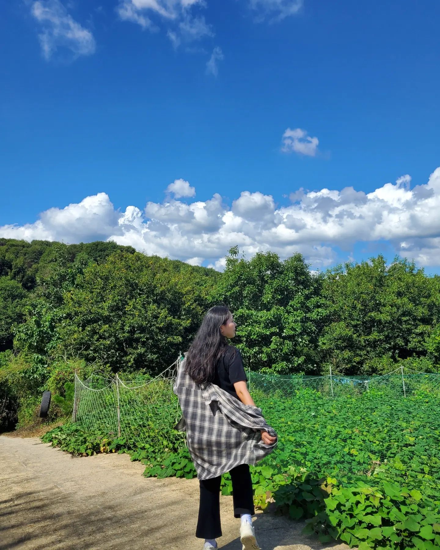 모두 즐거운 추석 되세요,, 🫠
저와 9월까지 함께 해주셔서 감사합니다 💗