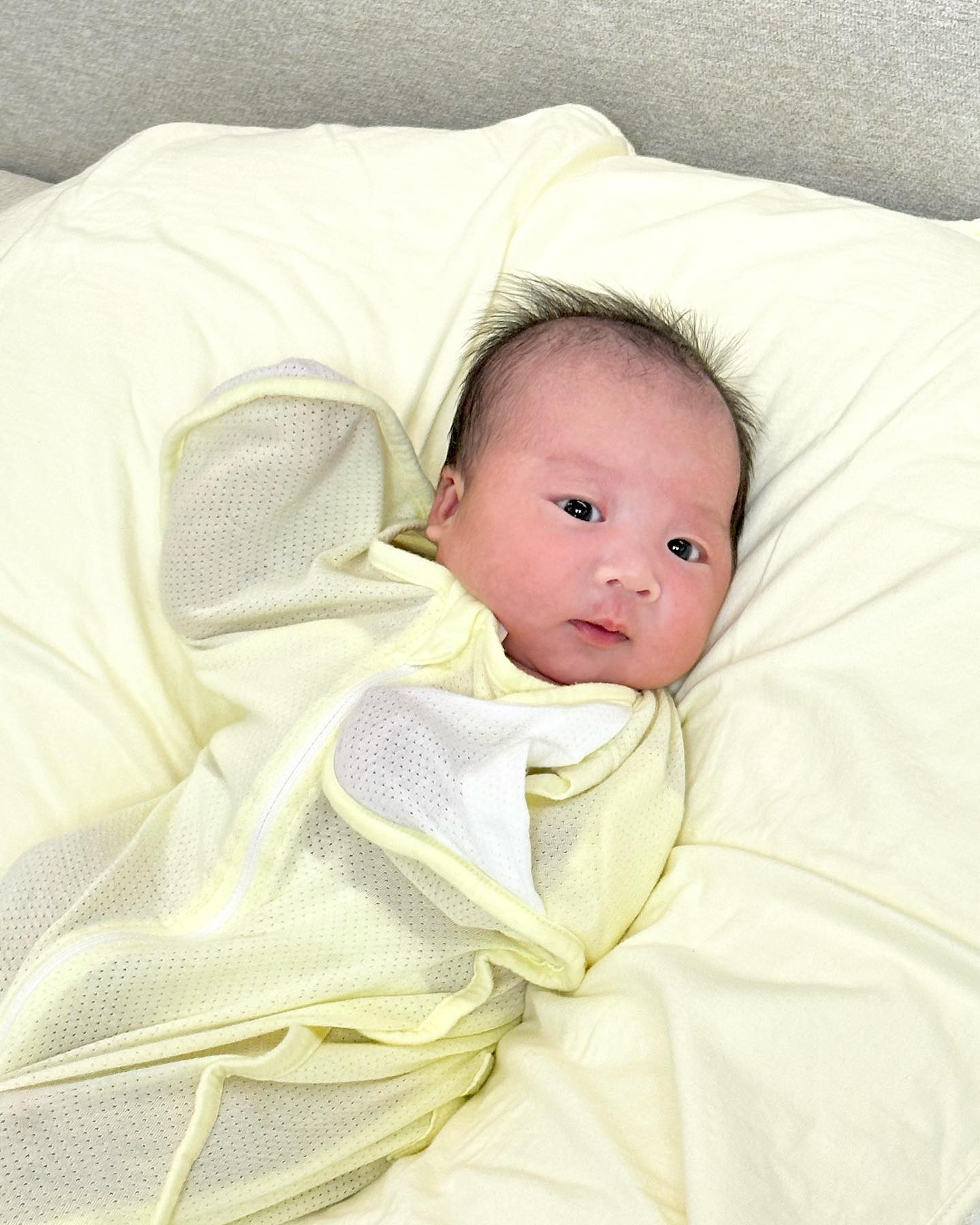 💛👶🏻💛

수아야 천천히 커줘
..... ( ෆຶдෆຶ)