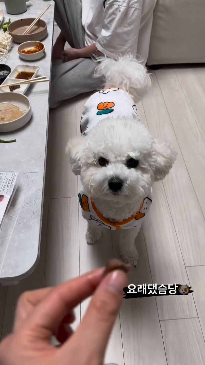 콘텐츠
