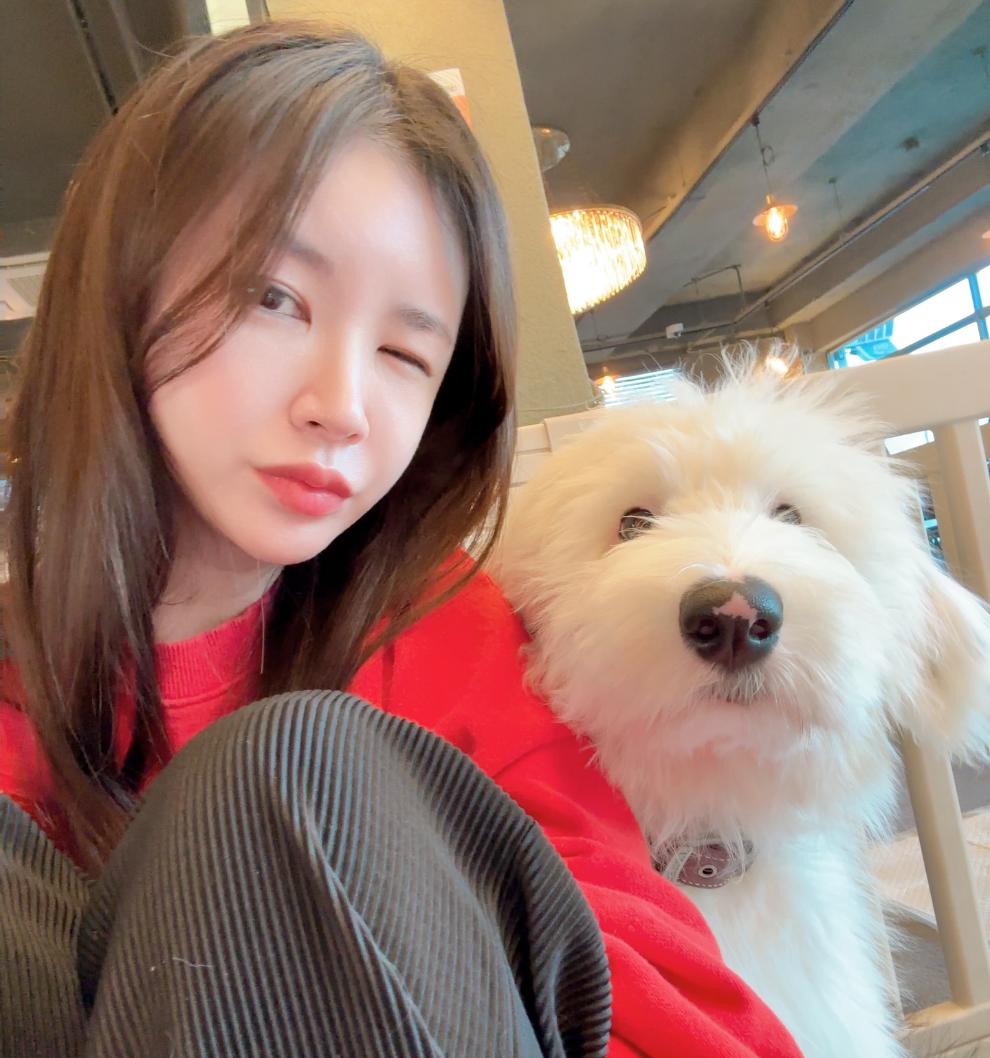 .
훌쩍 커버린 우리 밍키
성장속도가 어마무시해요
자고 일어나면 커져있어ㅋㅋㅋ
왕크왕귀❣️
.
#대형가족 #대형견 #대형인간
#올드잉글리쉬쉽독 #아기강아지
#댕댕이 #멈머 #데이트 #나들이
#박밍키 #요술공주밍키