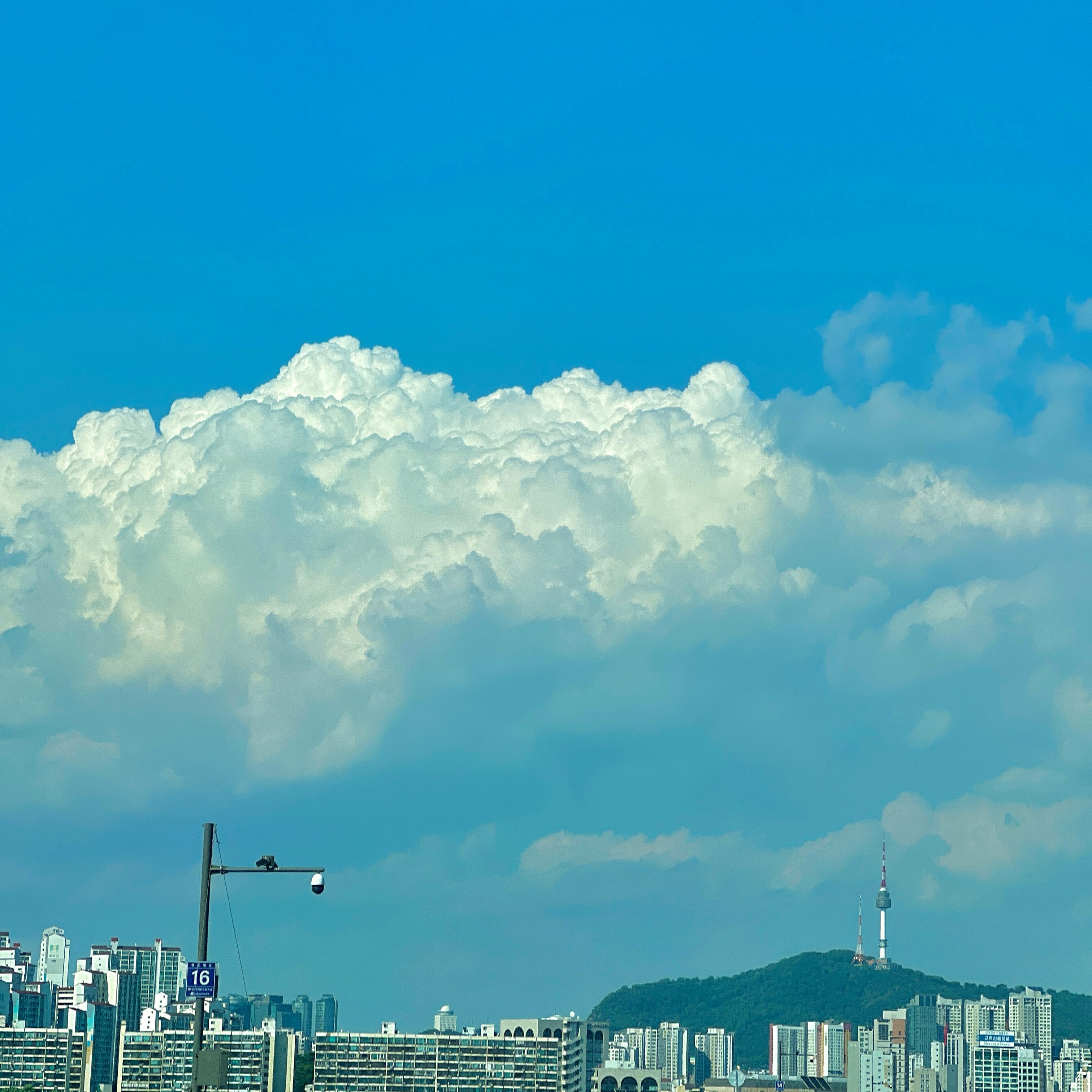 주말, 비온뒤 맑음🩵

#베베지나 #베베지나일상 #하늘 #하늘사진 #구름 #구름사진 #감성사진 #하늘스타그램