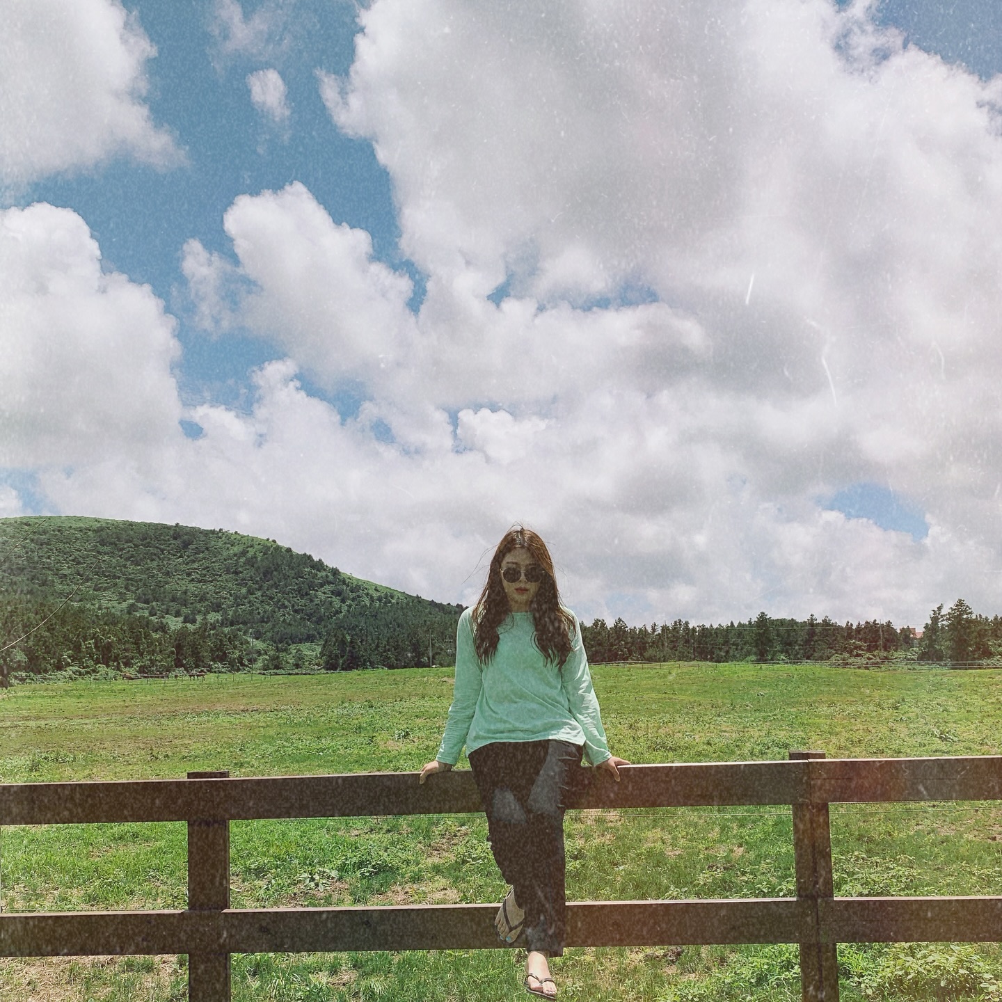내친구들 보러 #말 🐴🐎🎠