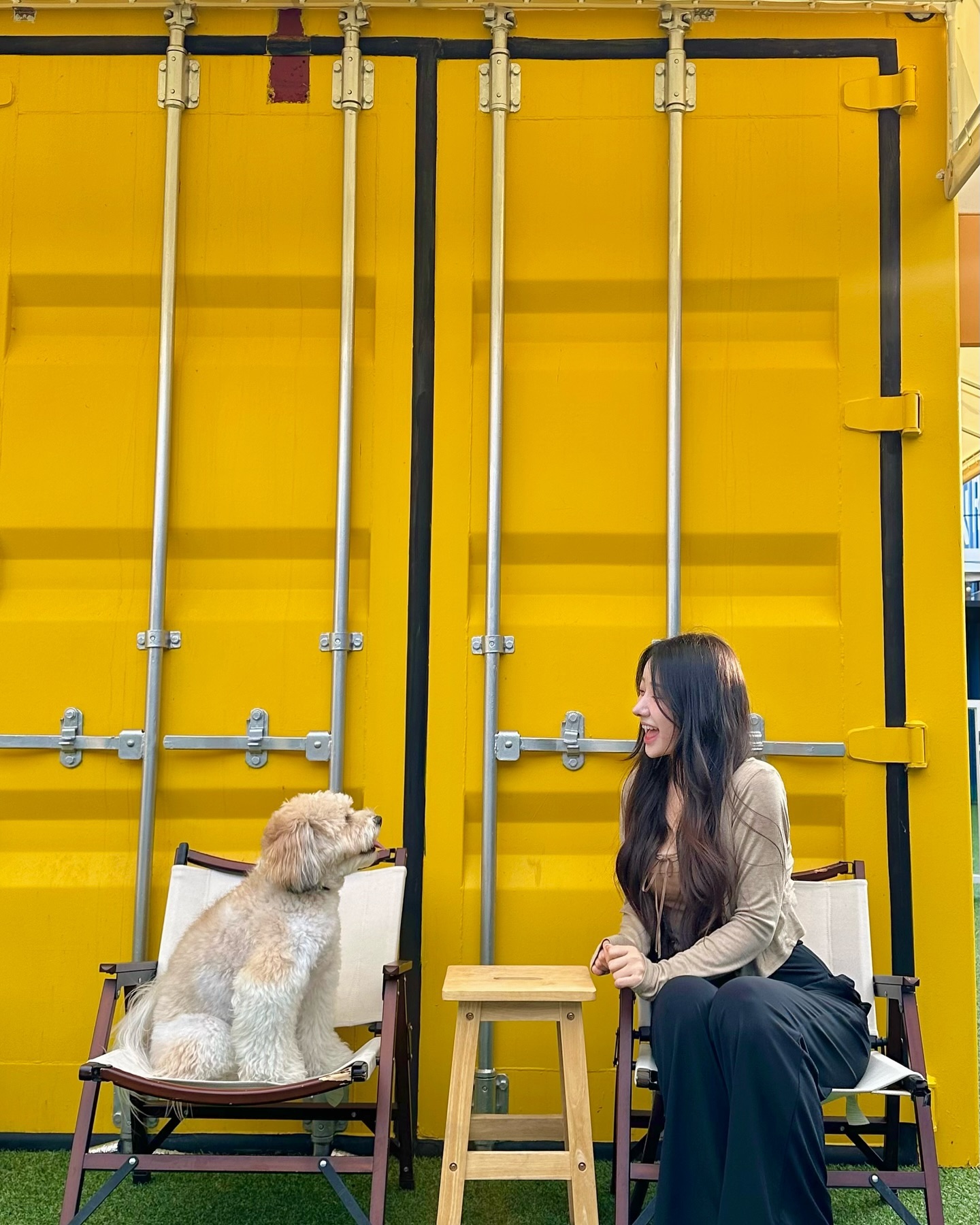 모델견 꼬똥이와 옆태미녀 페퍼💛
또 보고싶쟈냥💛💛💛