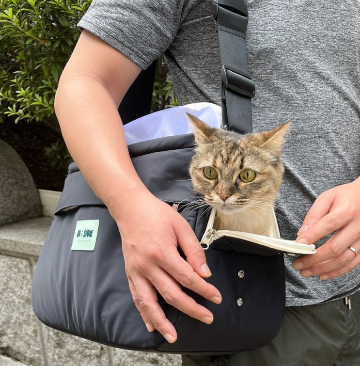 오아이사이드 반려동물 고양이 슬링백 추천 안전한이동가방 온리버디
